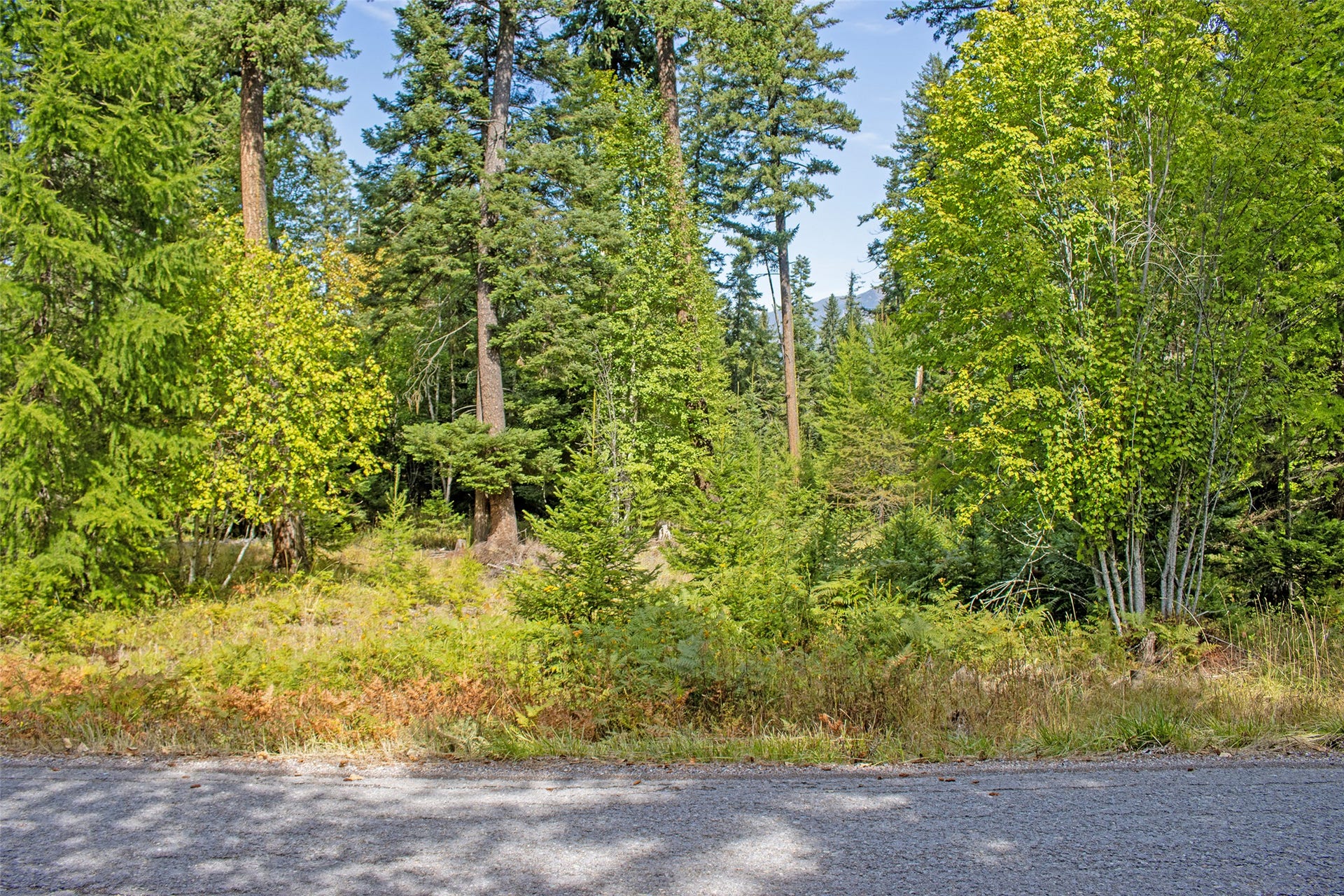595 Wapiti Lane, Bigfork, MT 59911 595 Wapiti Lane, Bigfork, MT 59911