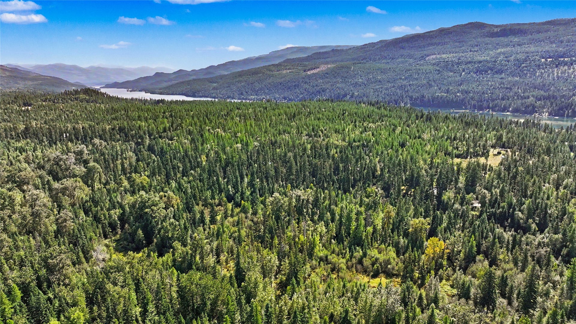 595 Wapiti Lane, Bigfork, MT 59911 595 Wapiti Lane, Bigfork, MT 59911