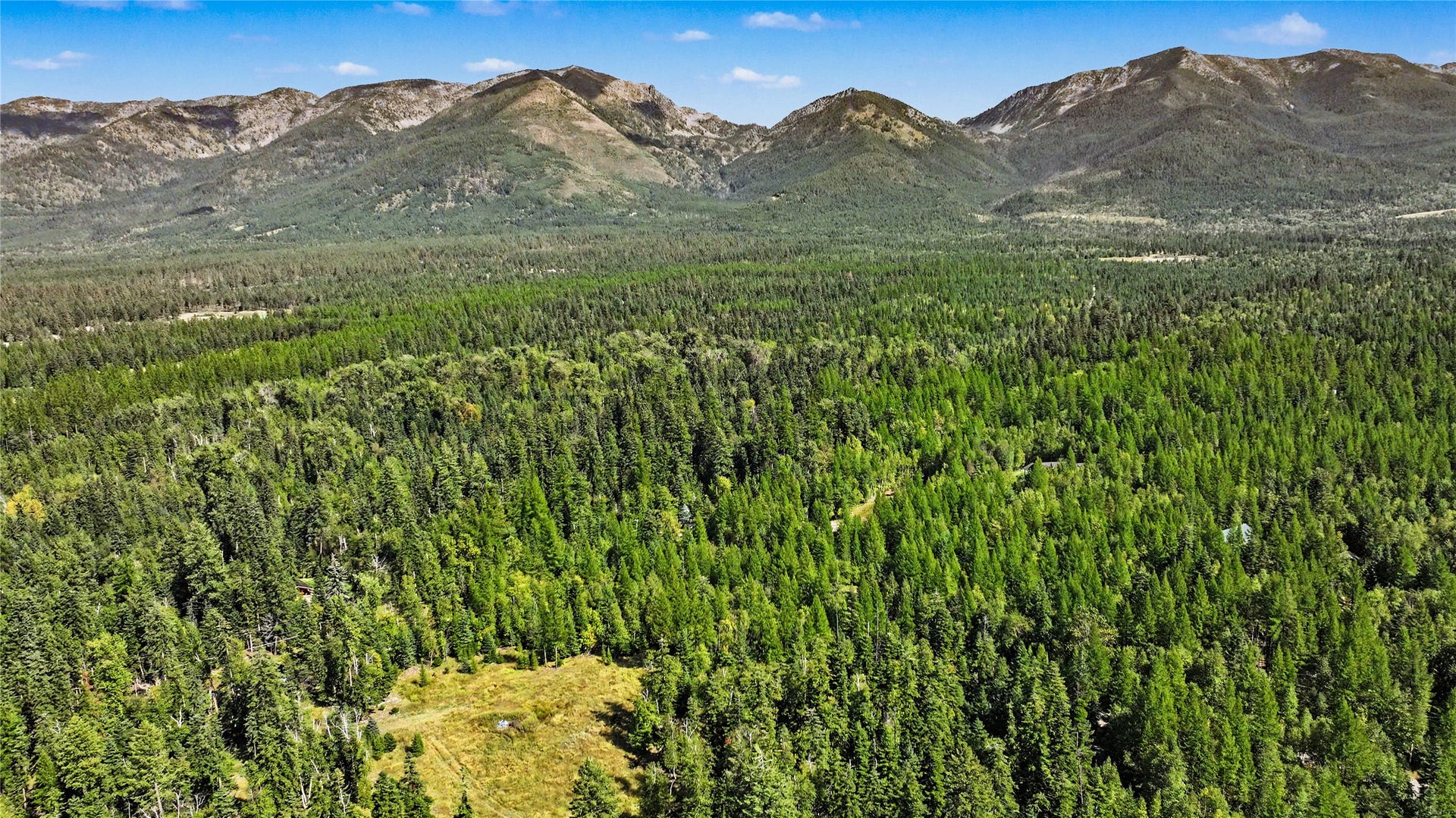 595 Wapiti Lane, Bigfork, MT 59911 595 Wapiti Lane, Bigfork, MT 59911