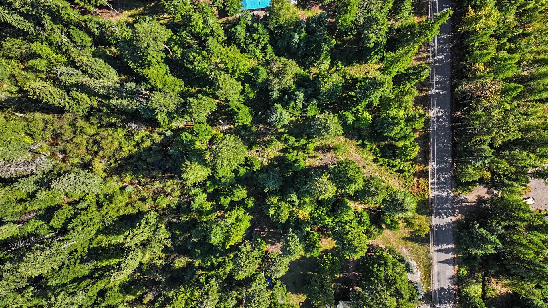 595 Wapiti Lane, Bigfork, MT 59911 595 Wapiti Lane, Bigfork, MT 59911