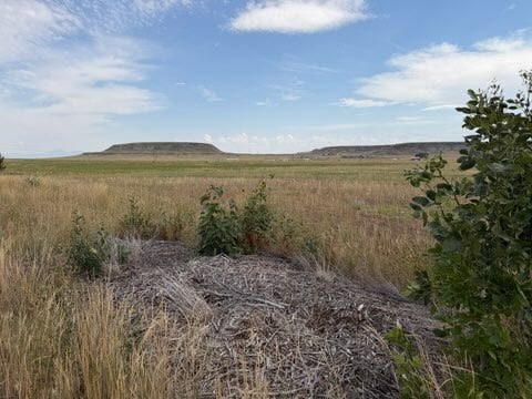 lot 1,2,3 Lake Flat Lane, Great Falls, MT 59404 lot 1,2,3 Lake Flat Lane, Great Falls, MT 59404