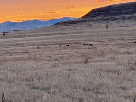 lot 1,2,3 Lake Flat Lane, Great Falls, MT 59404 lot 1,2,3 Lake Flat Lane, Great Falls, MT 59404