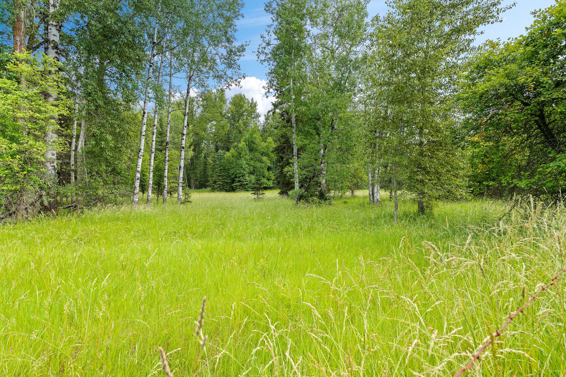 250 Swan Meadow Drive, Bigfork, MT 59911 250 Swan Meadow Drive, Bigfork, MT 59911