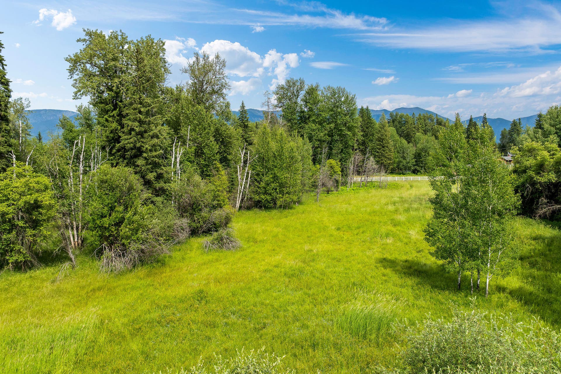 250 Swan Meadow Drive, Bigfork, MT 59911 250 Swan Meadow Drive, Bigfork, MT 59911