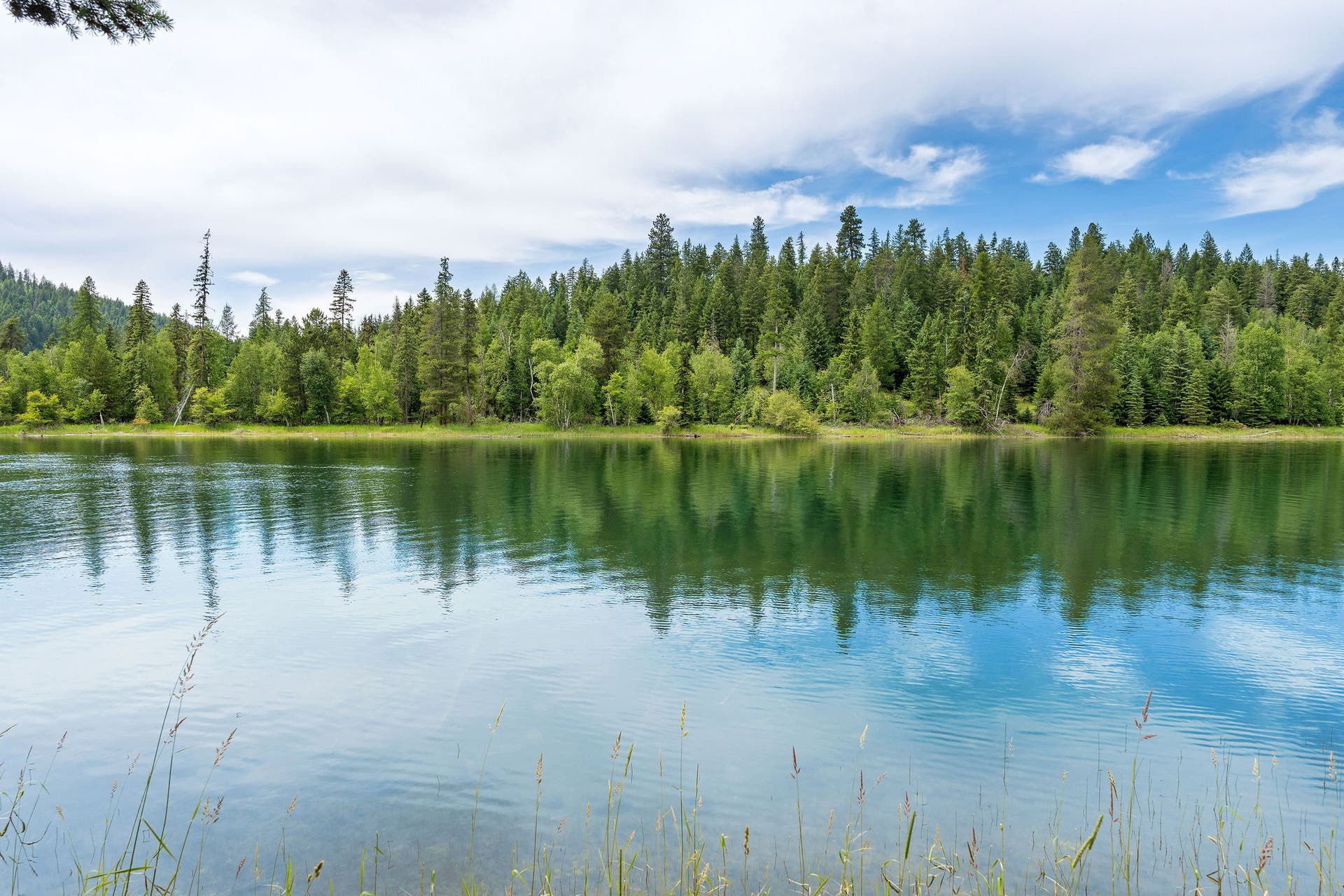 250 Swan Meadow Drive, Bigfork, MT 59911 250 Swan Meadow Drive, Bigfork, MT 59911