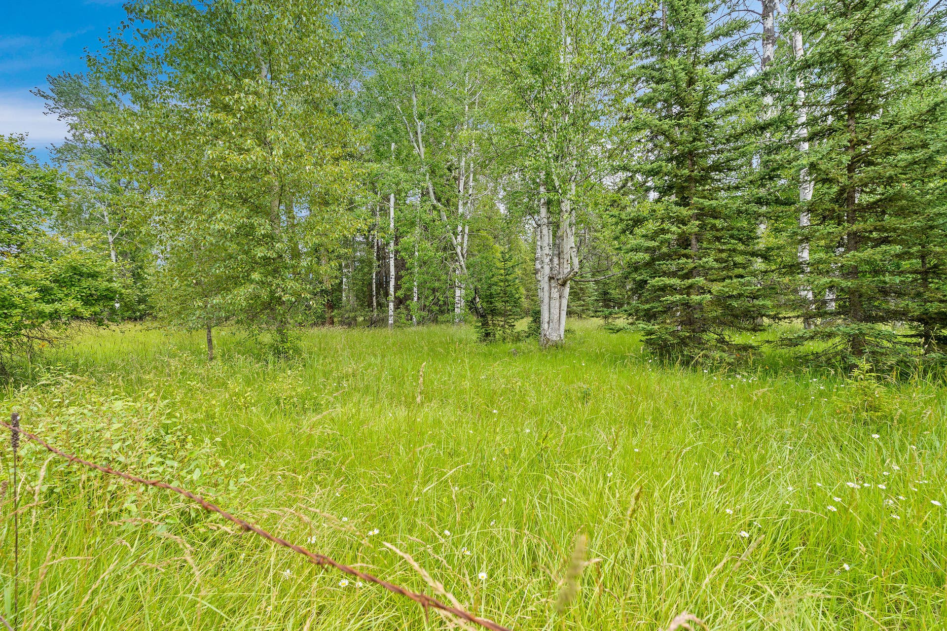250 Swan Meadow Drive, Bigfork, MT 59911 250 Swan Meadow Drive, Bigfork, MT 59911