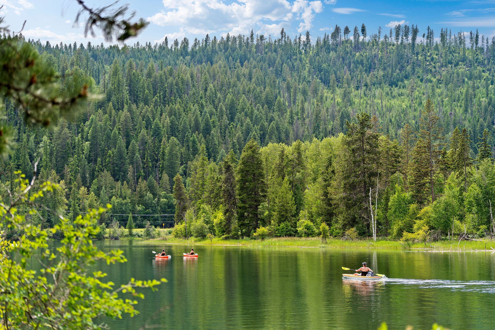250 Swan Meadow Drive, Bigfork, MT 59911 250 Swan Meadow Drive, Bigfork, MT 59911