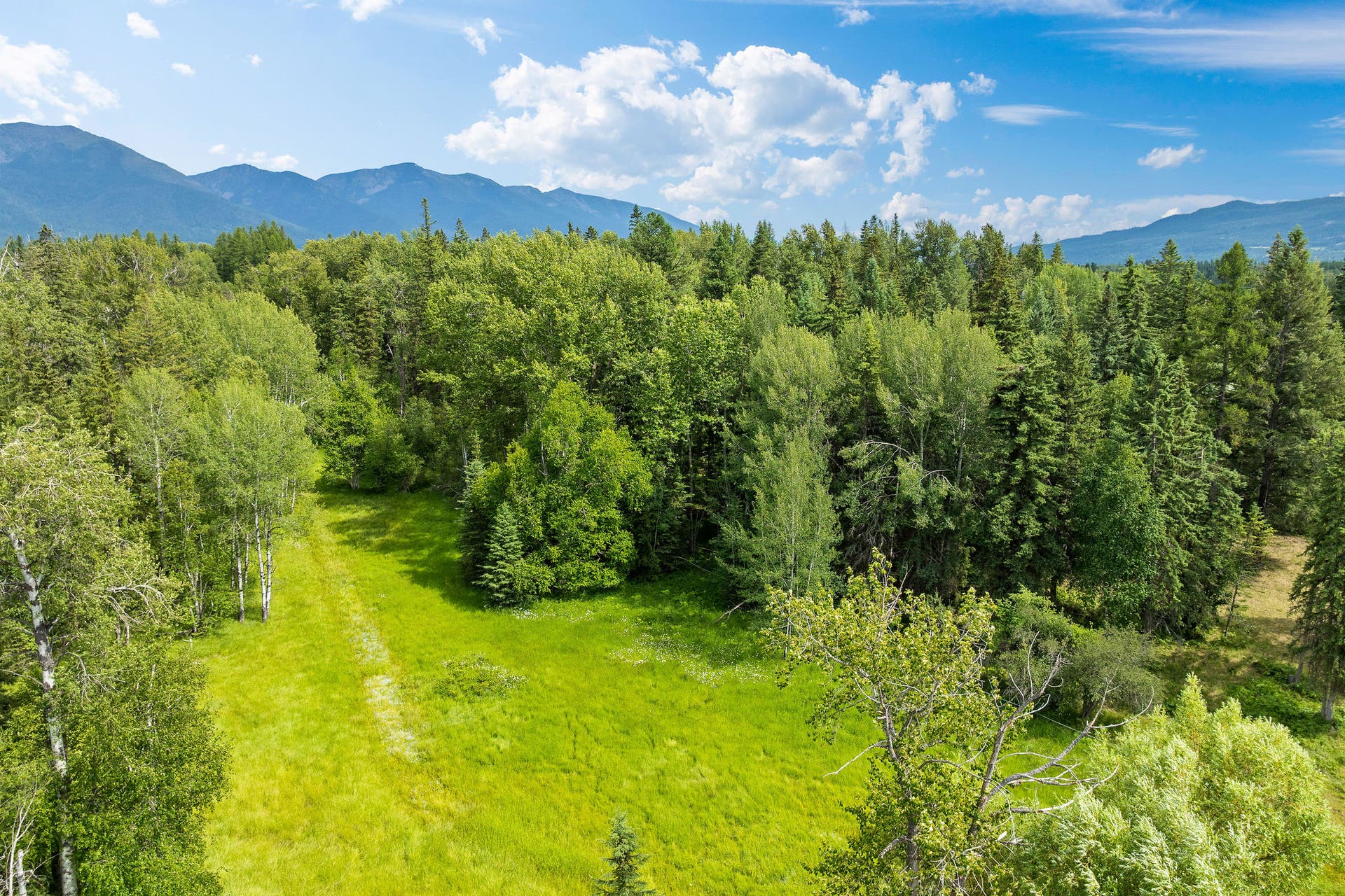 250 Swan Meadow Drive, Bigfork, MT 59911 250 Swan Meadow Drive, Bigfork, MT 59911