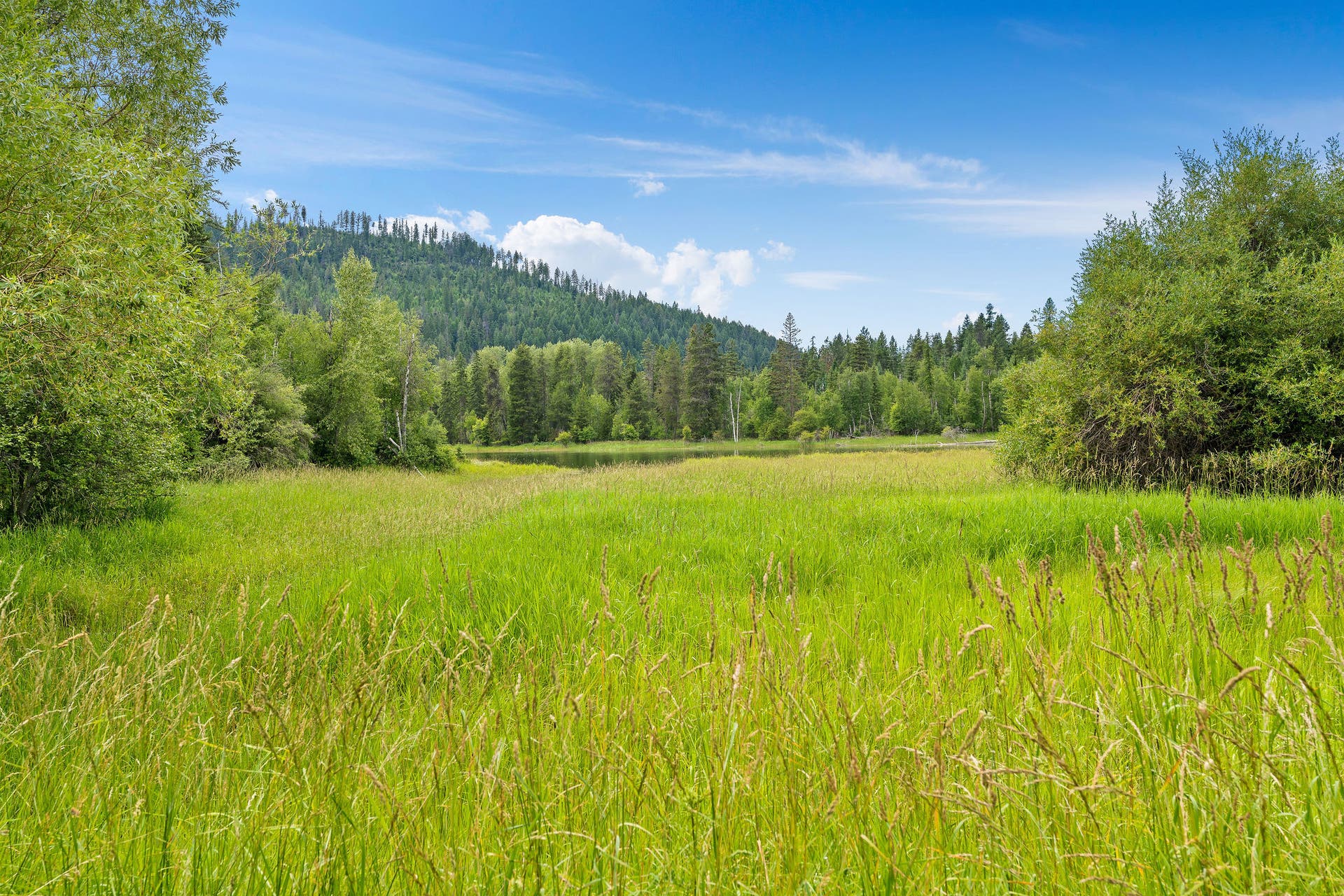 250 Swan Meadow Drive, Bigfork, MT 59911 250 Swan Meadow Drive, Bigfork, MT 59911