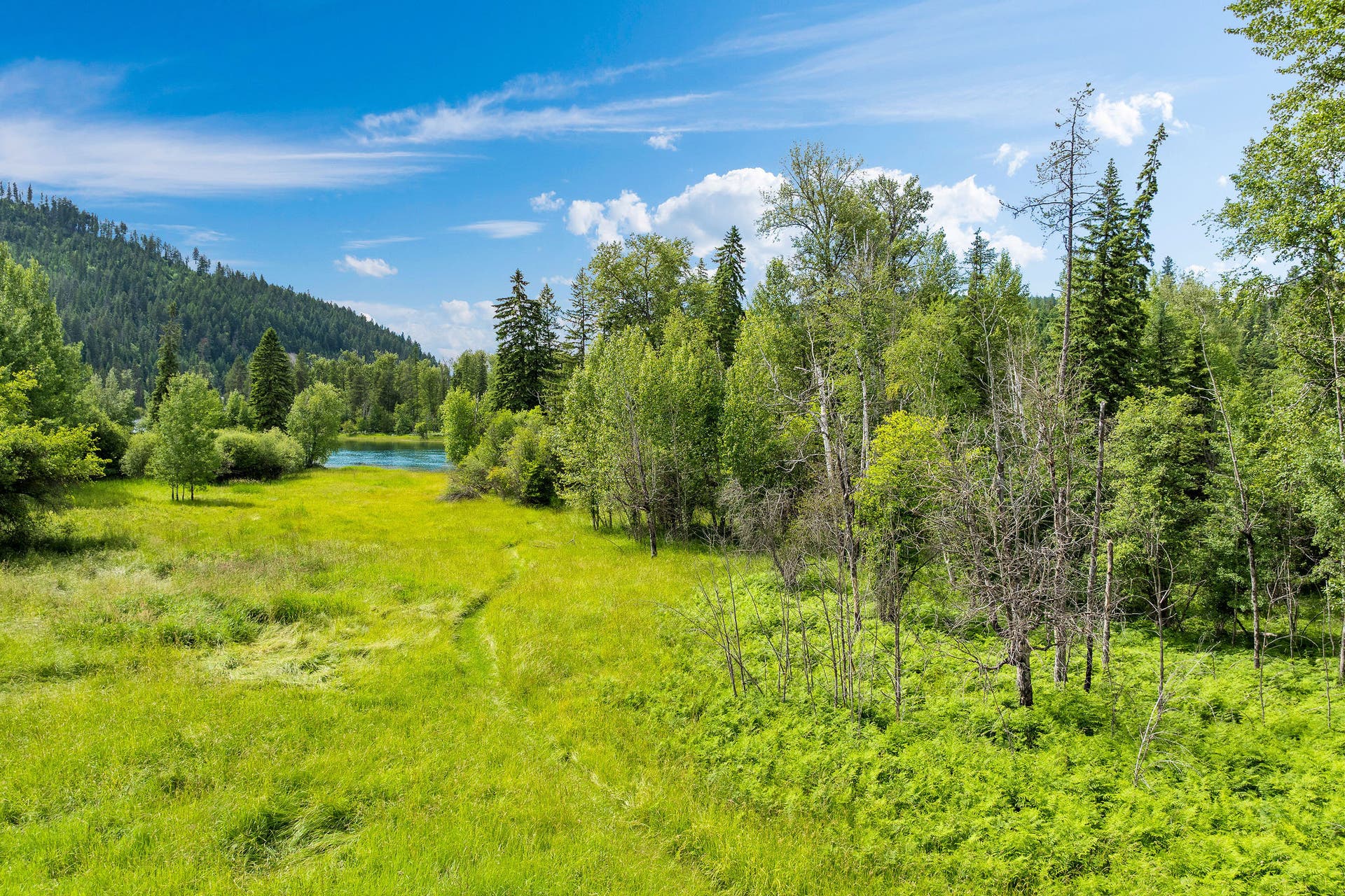 250 Swan Meadow Drive, Bigfork, MT 59911 250 Swan Meadow Drive, Bigfork, MT 59911