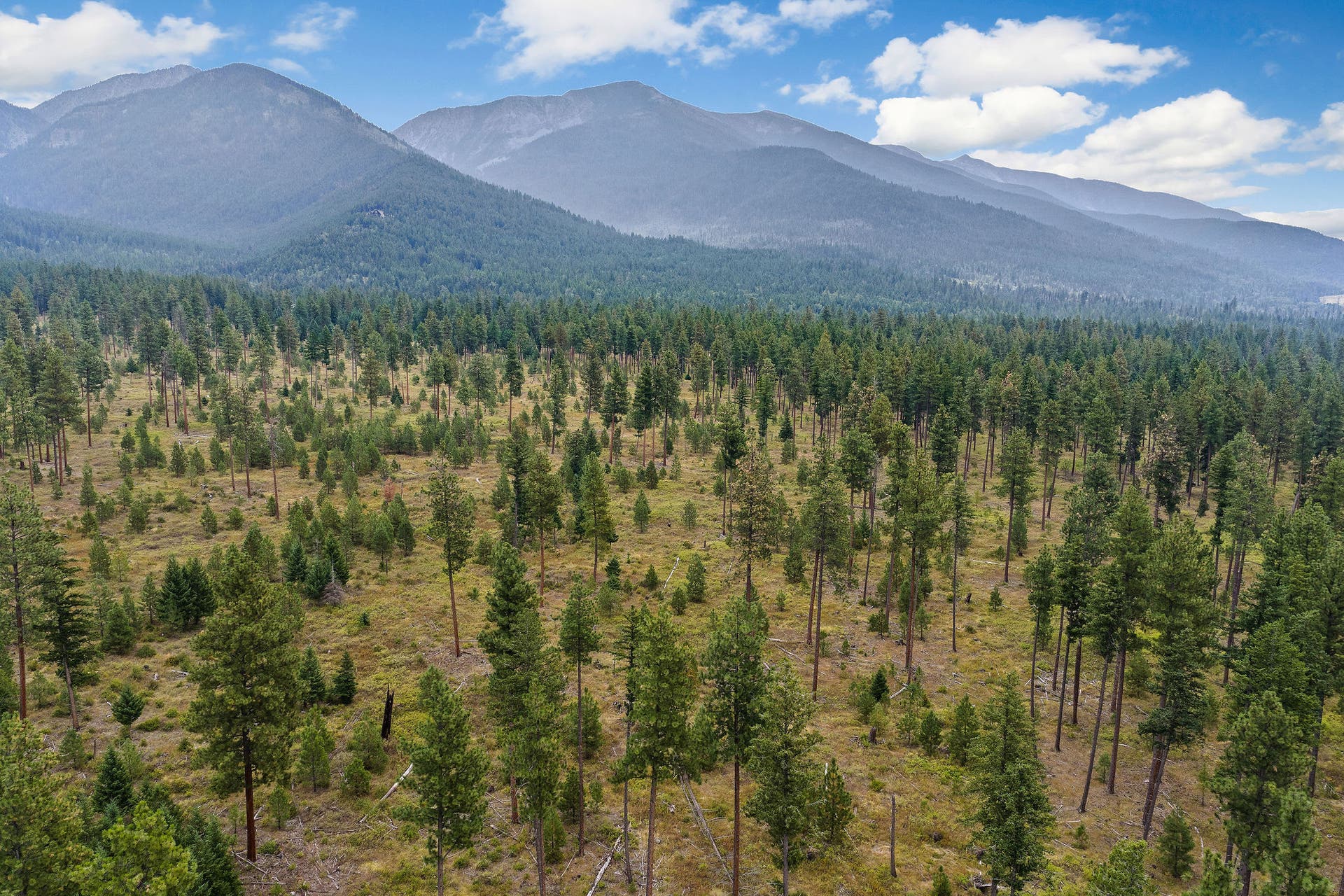 27978 Red Owl Road, Bigfork, MT 59911 27978 Red Owl Road, Bigfork, MT 59911