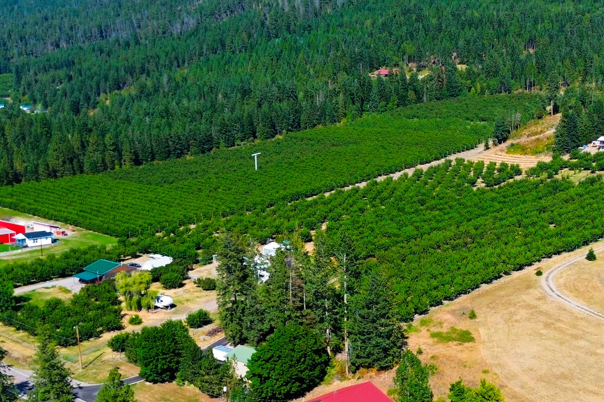 23726 MT Hwy 35, Bigfork, MT 59911 23726 MT Hwy 35, Bigfork, MT 59911