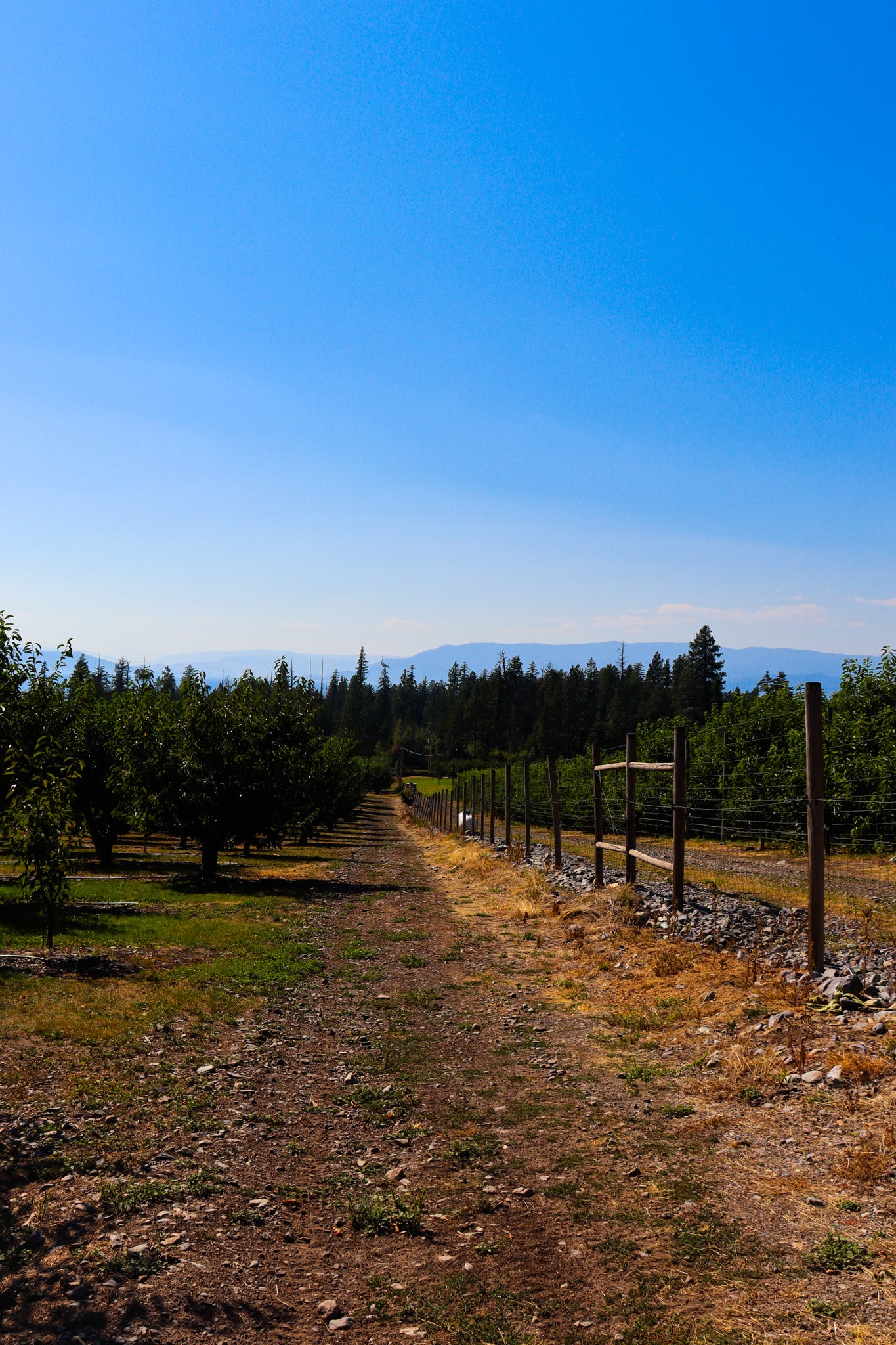 23726 MT Hwy 35, Bigfork, MT 59911 23726 MT Hwy 35, Bigfork, MT 59911