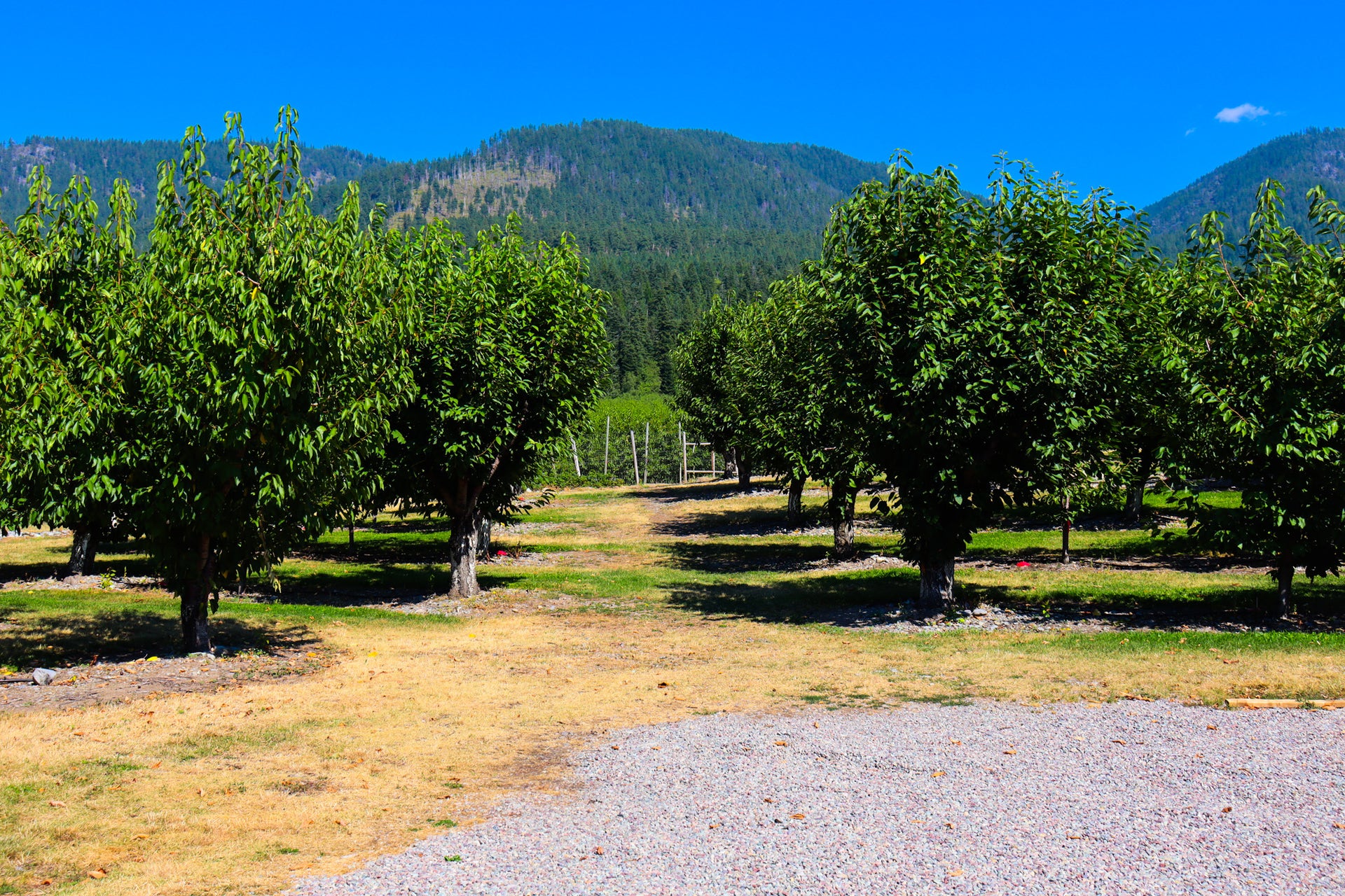 23726 MT Hwy 35, Bigfork, MT 59911 23726 MT Hwy 35, Bigfork, MT 59911