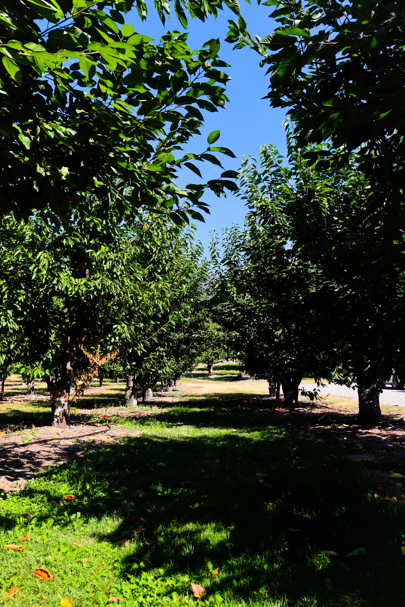 23726 MT Hwy 35, Bigfork, MT 59911 23726 MT Hwy 35, Bigfork, MT 59911