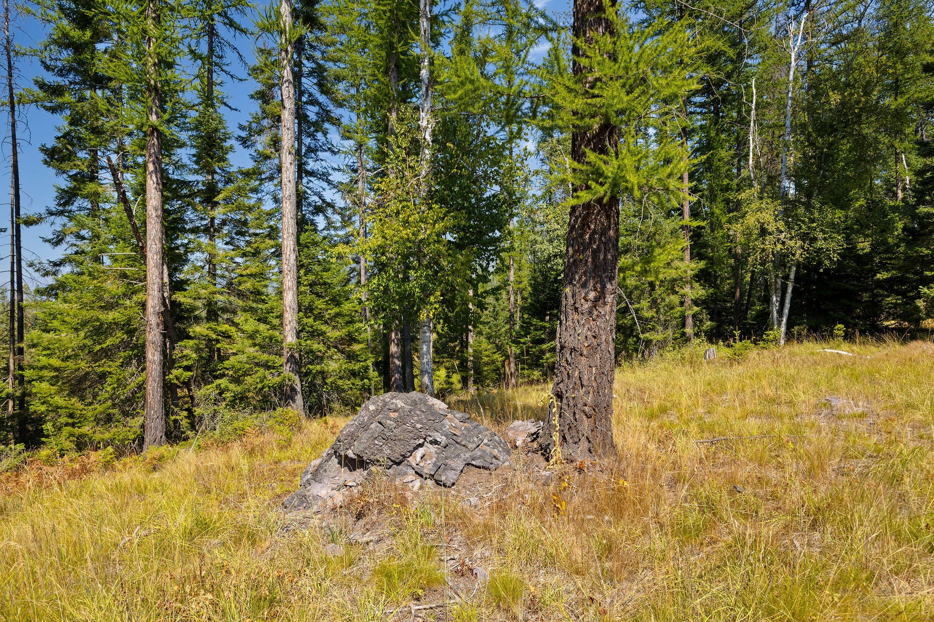 778 Pine Ridge Road, Bigfork, MT 59911 778 Pine Ridge Road, Bigfork, MT 59911