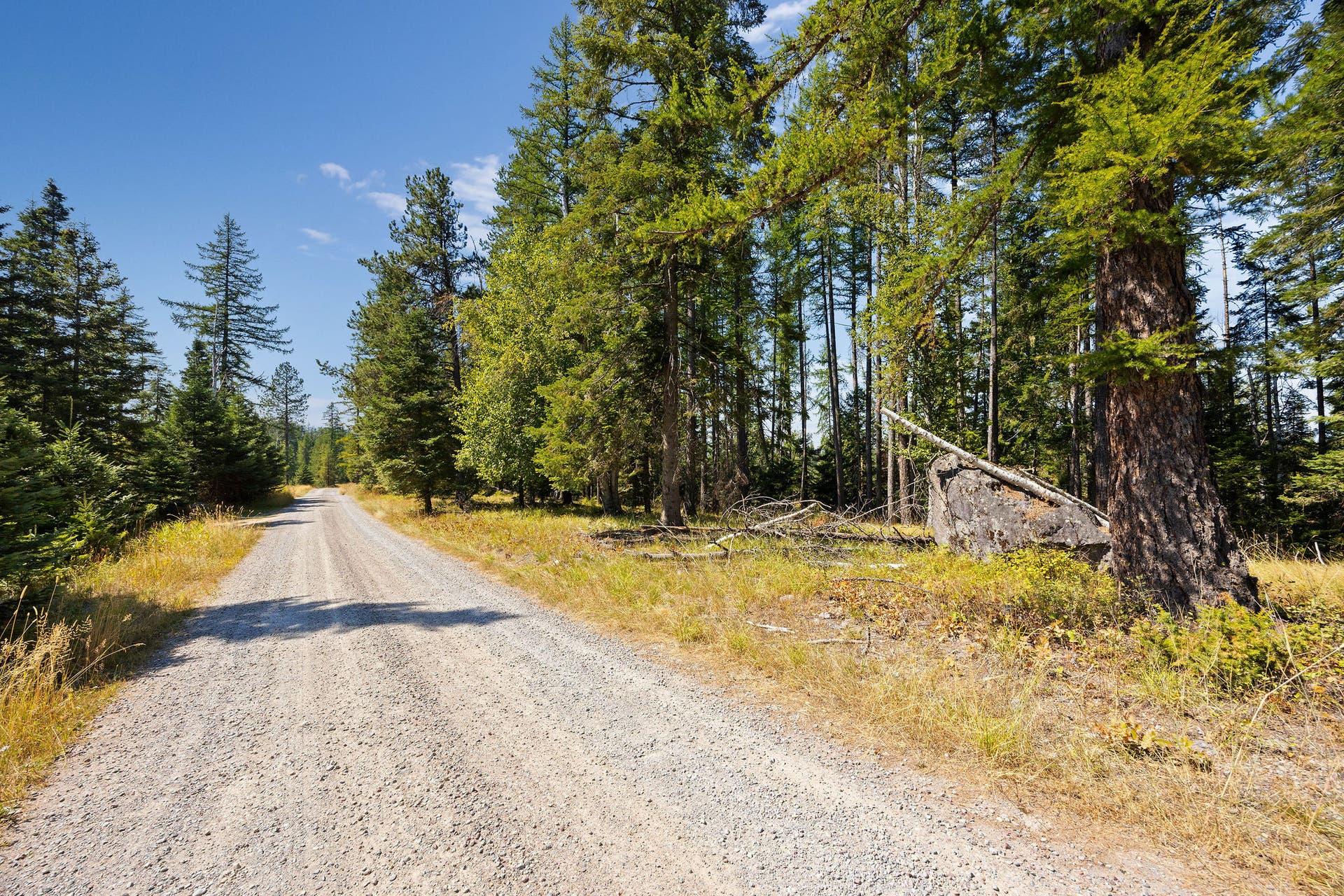 778 Pine Ridge Road, Bigfork, MT 59911 778 Pine Ridge Road, Bigfork, MT 59911