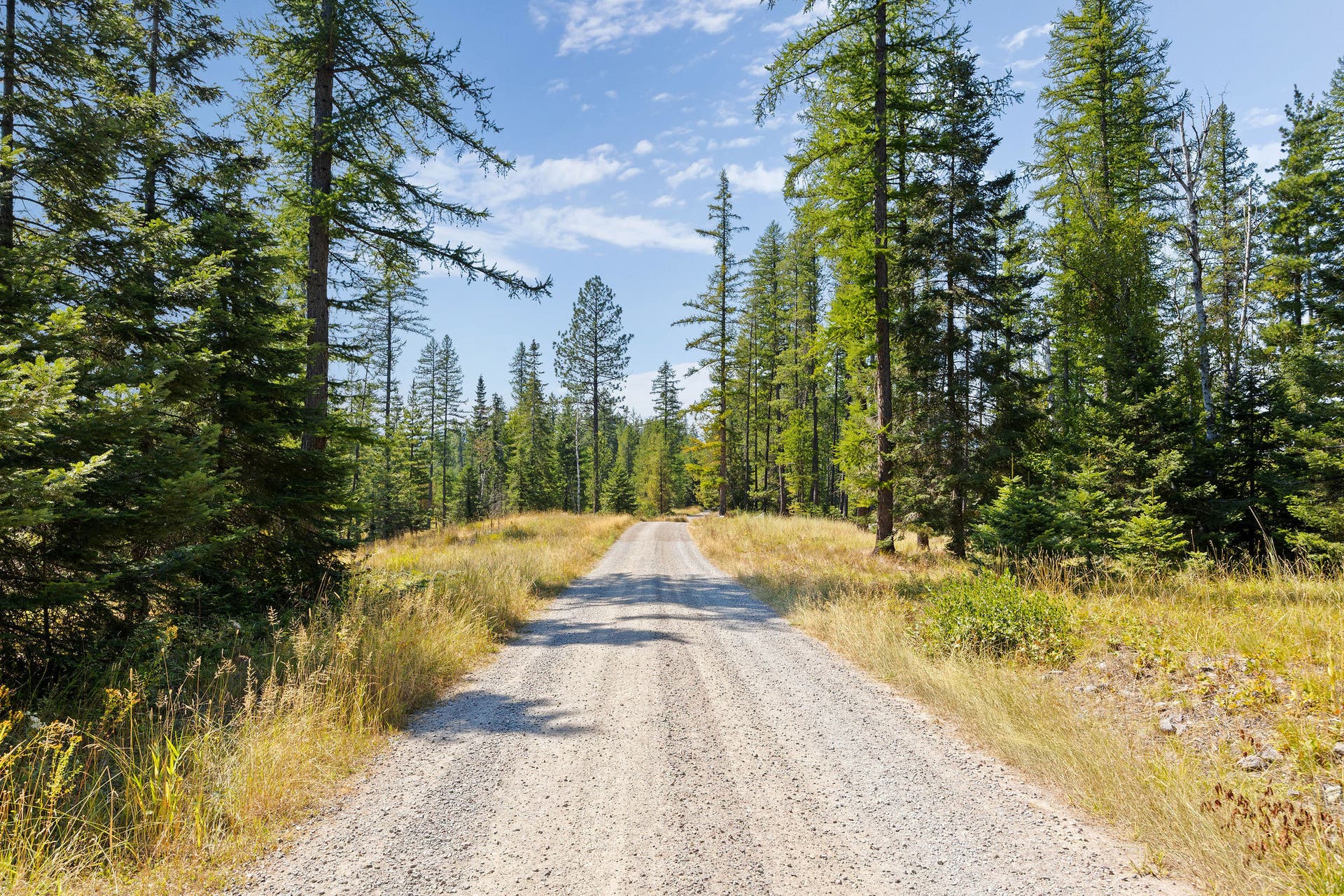 778 Pine Ridge Road, Bigfork, MT 59911 778 Pine Ridge Road, Bigfork, MT 59911