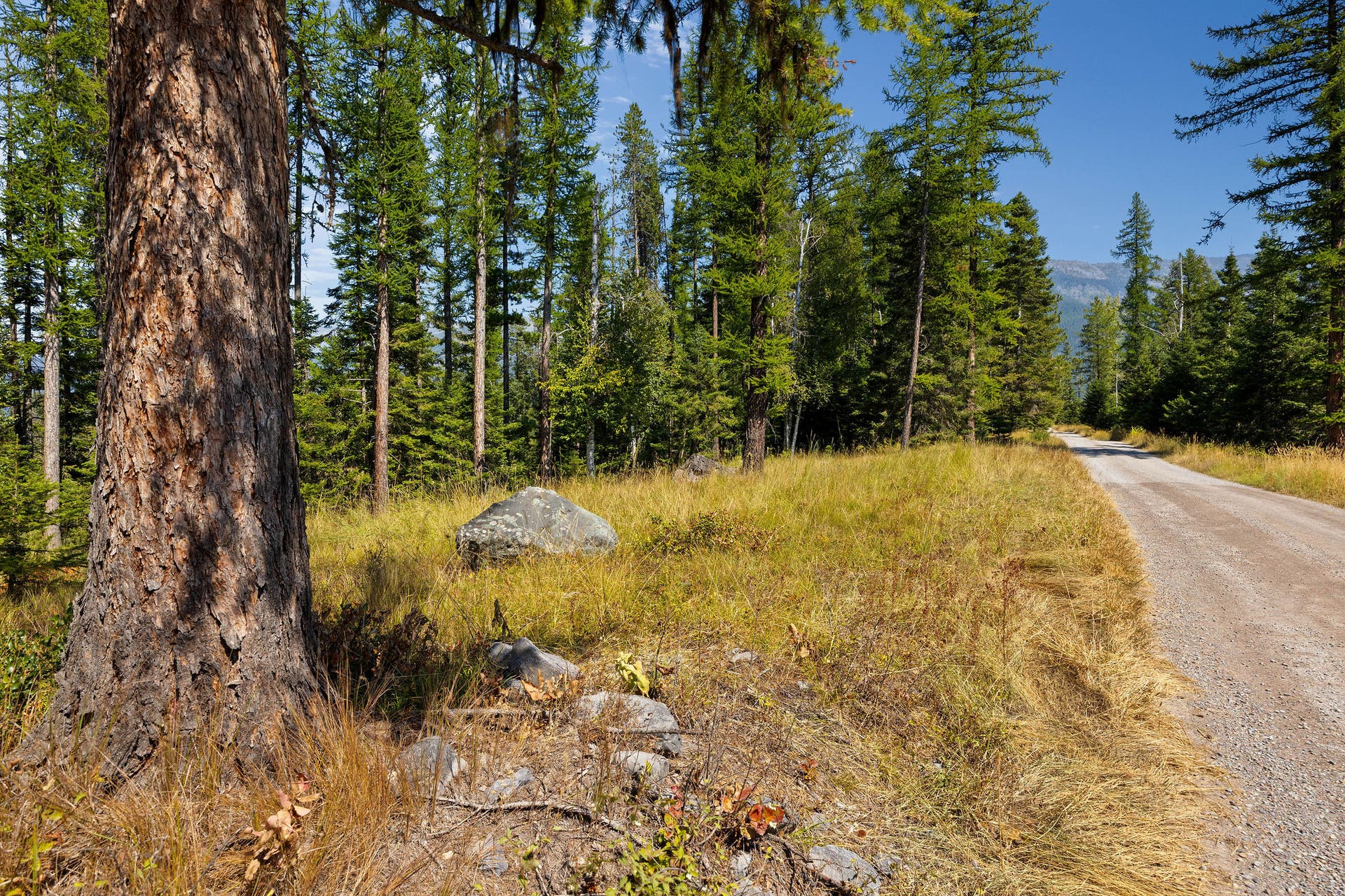 778 Pine Ridge Road, Bigfork, MT 59911 778 Pine Ridge Road, Bigfork, MT 59911