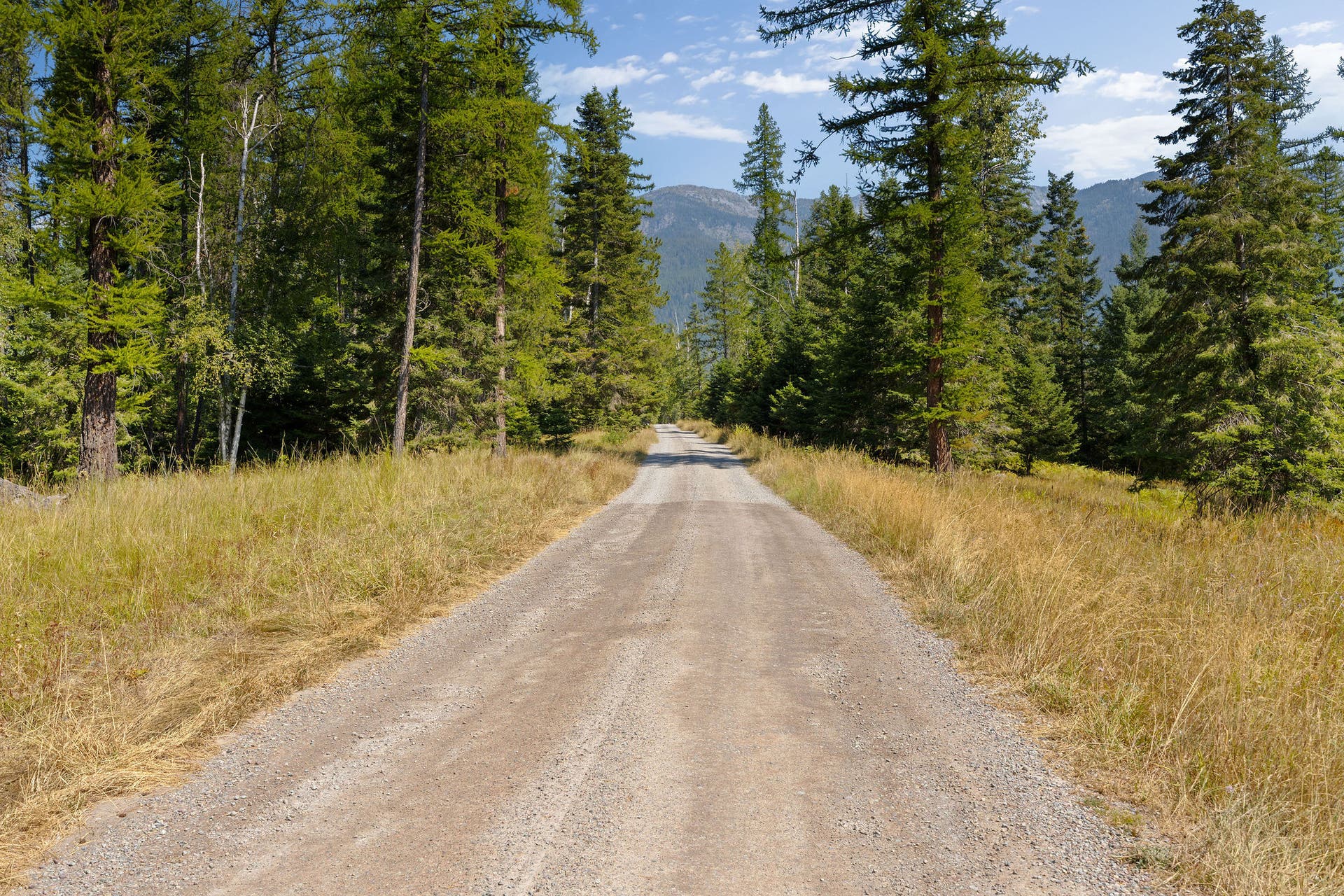 778 Pine Ridge Road, Bigfork, MT 59911 778 Pine Ridge Road, Bigfork, MT 59911