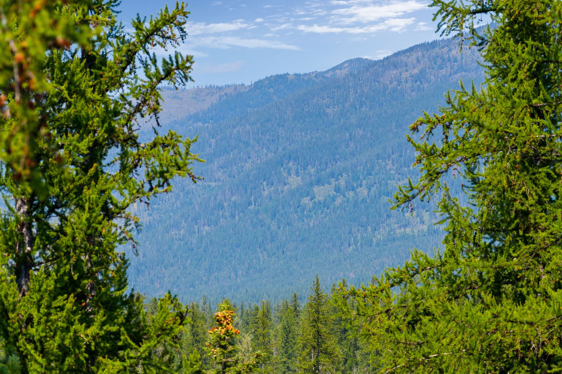 778 Pine Ridge Road, Bigfork, MT 59911 778 Pine Ridge Road, Bigfork, MT 59911