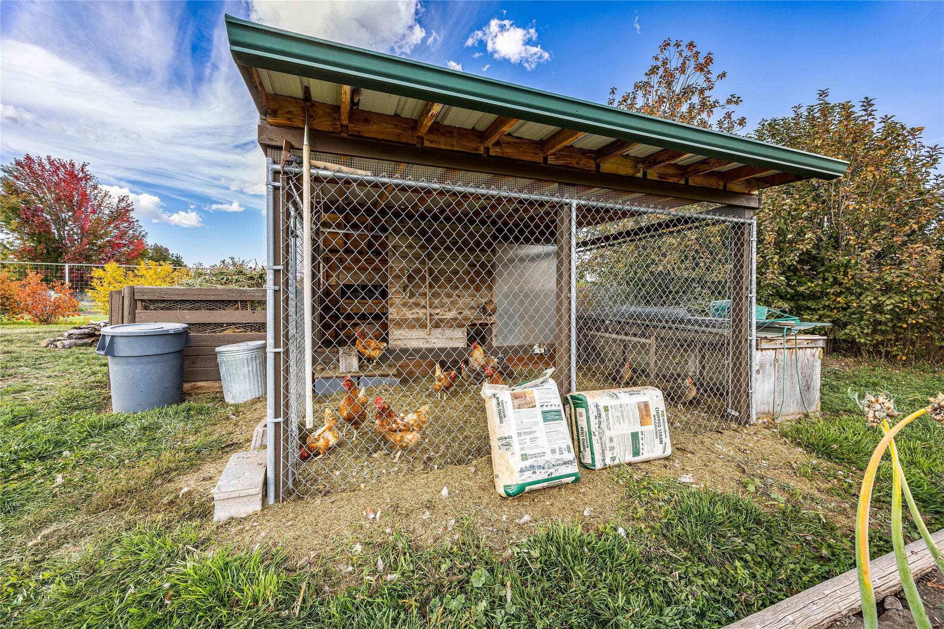 Chicken coop
