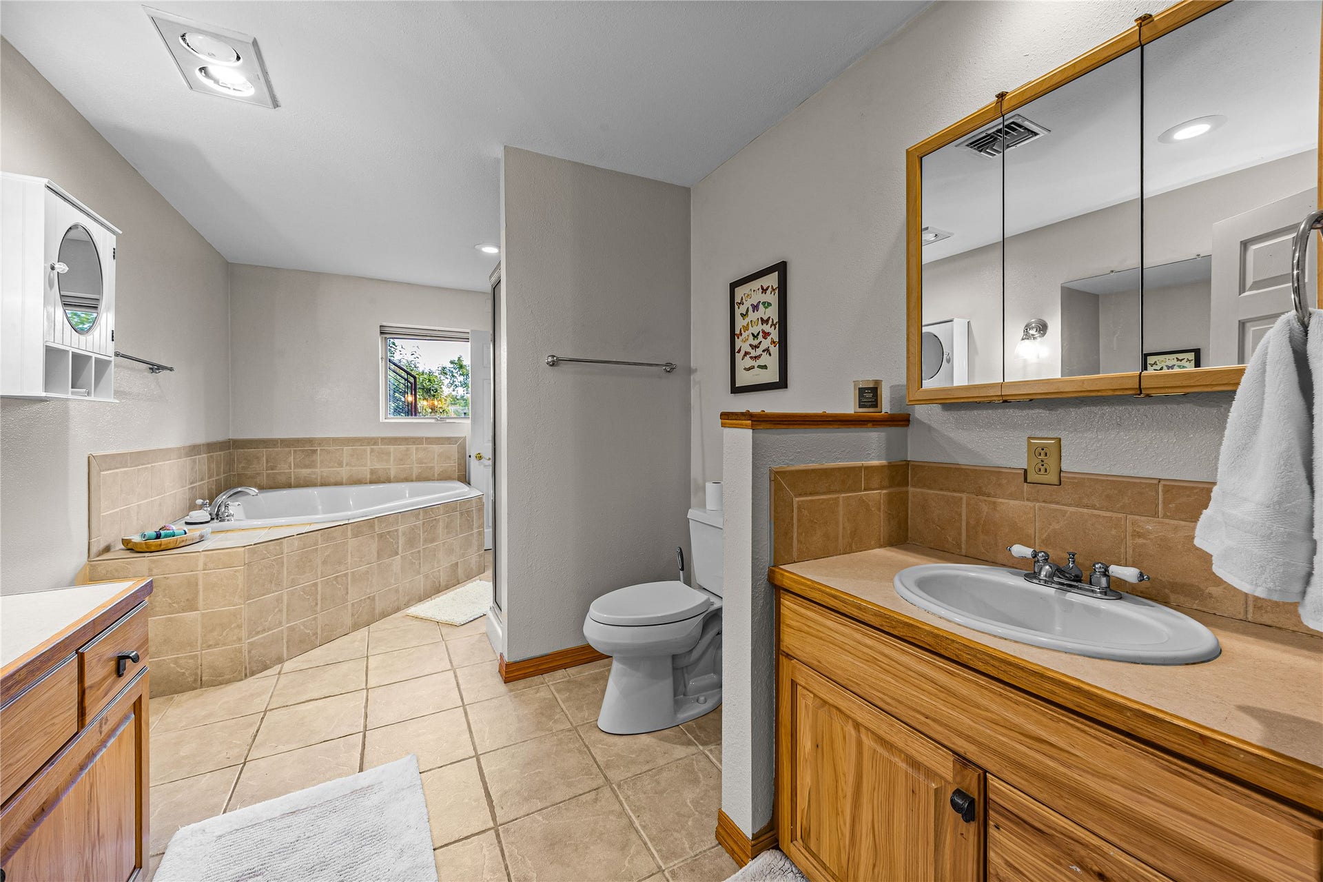 Full bathroom lower level.