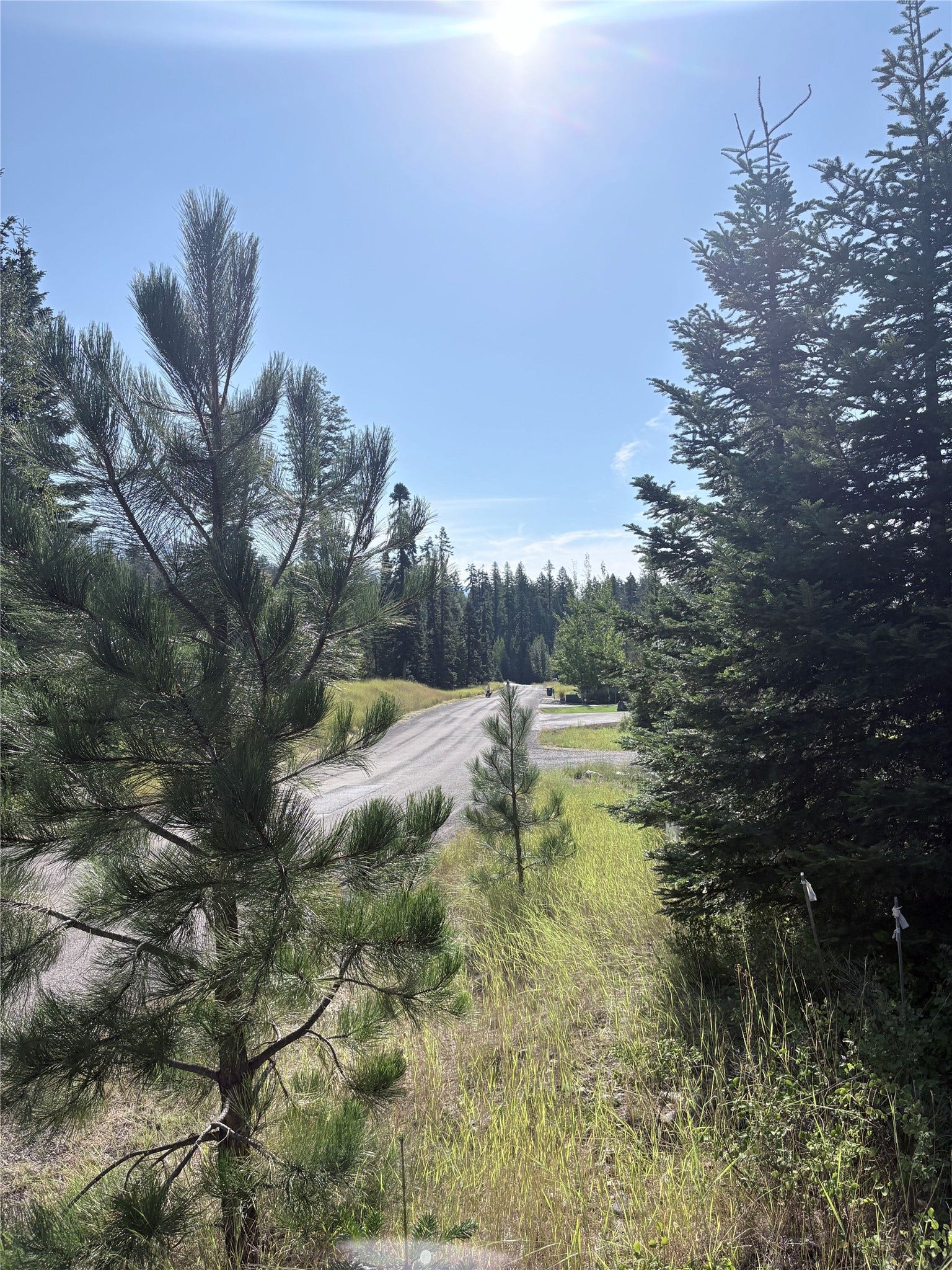 13515 Sundance Trail, Bigfork, MT 59911 looking south from driveway