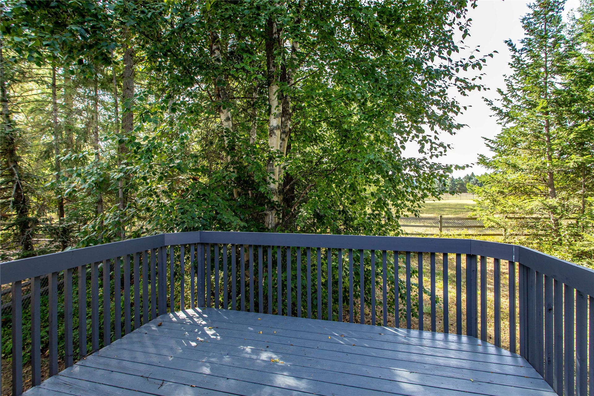 130 Alpine Drive, Bigfork, MT 59911 Deck