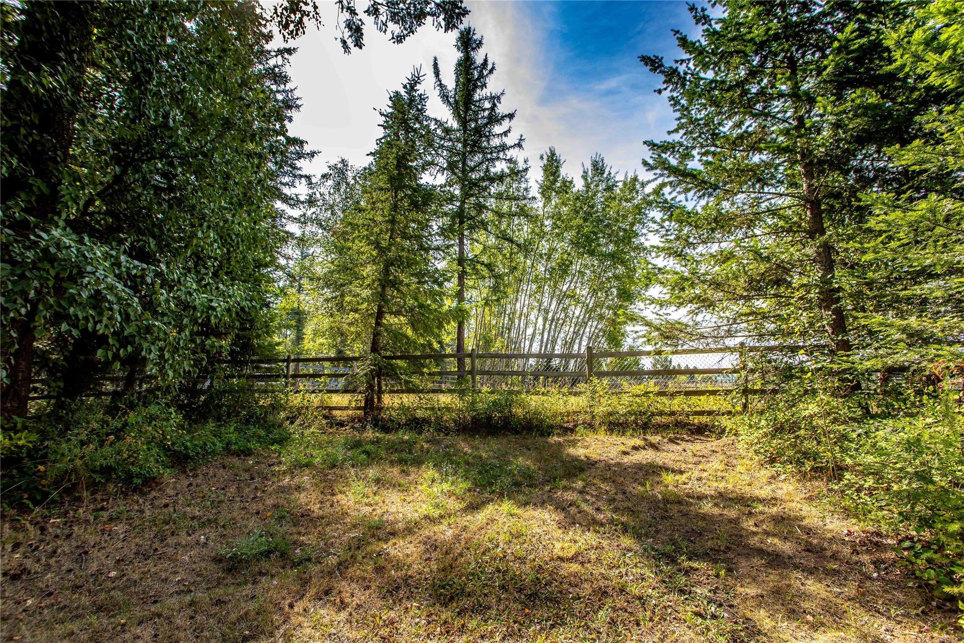 130 Alpine Drive, Bigfork, MT 59911 Echo Lake access walking path