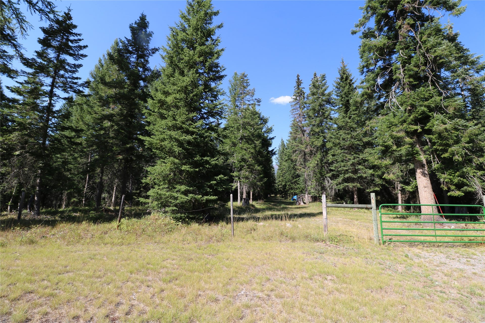 Entrance to property