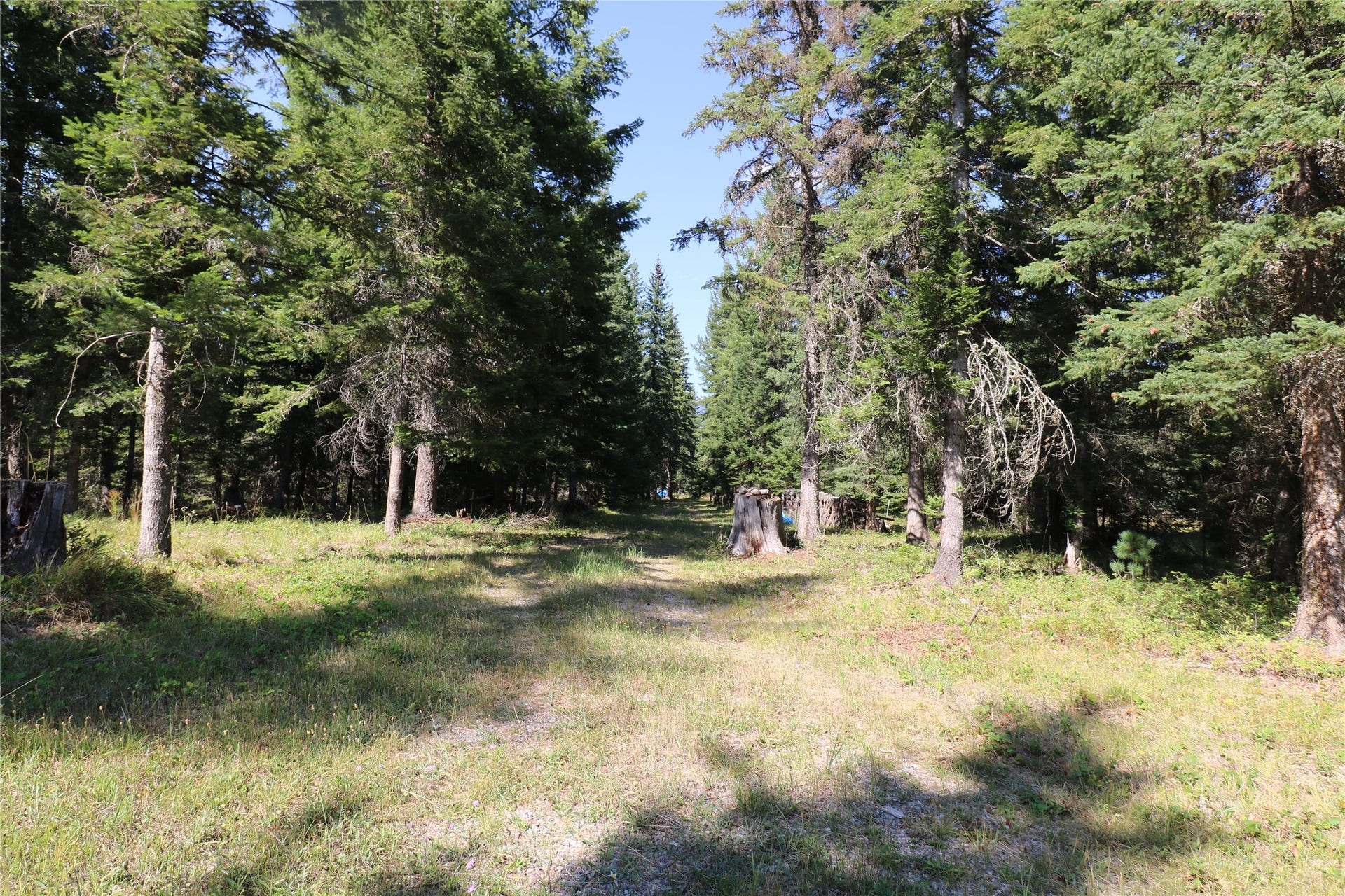 NHN Jewel Basin Ranch Road, Bigfork, MT 59911