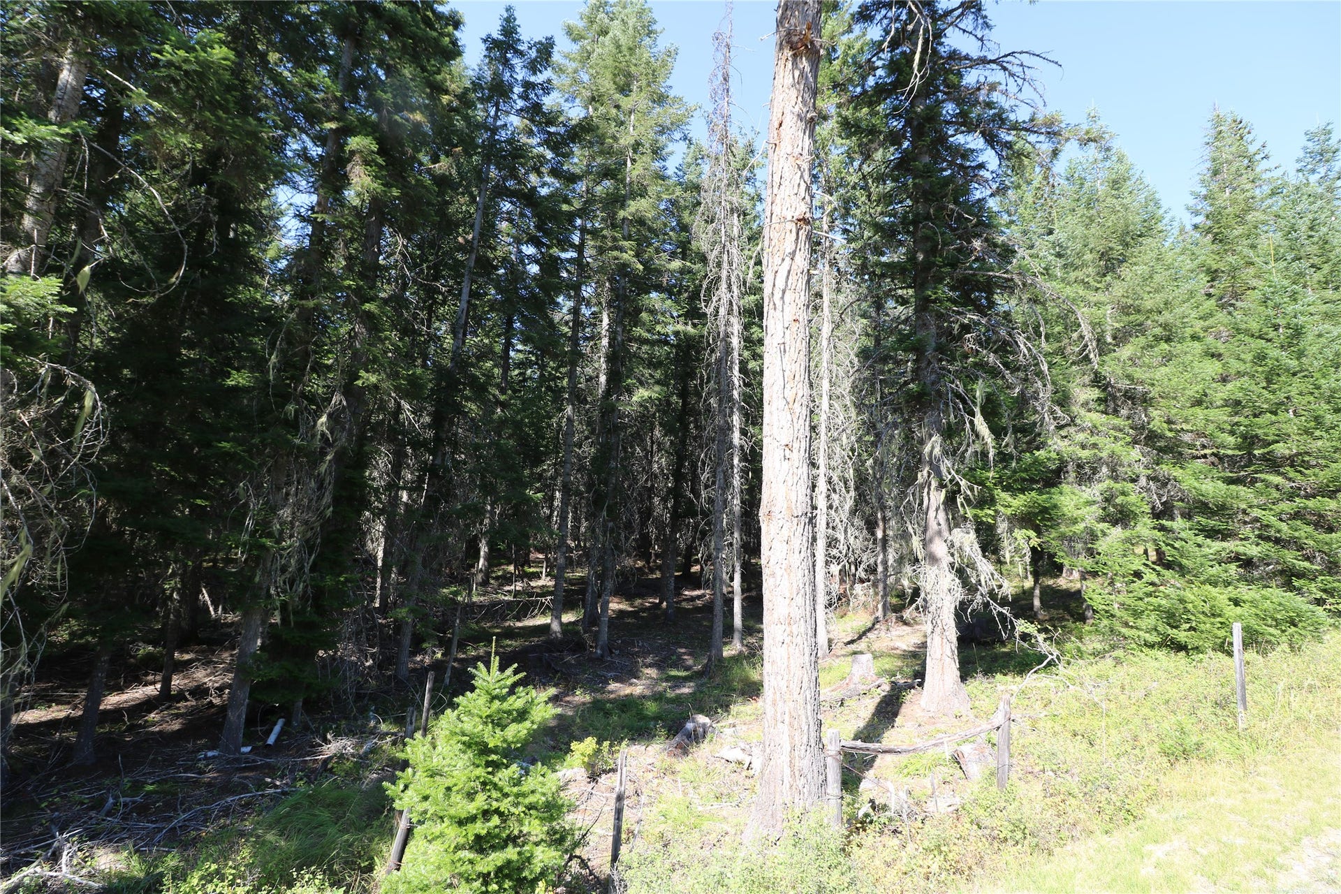 NHN Jewel Basin Ranch Road, Bigfork, MT 59911