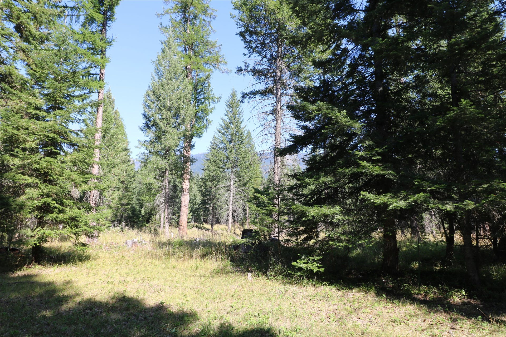 NHN Jewel Basin Ranch Road, Bigfork, MT 59911
