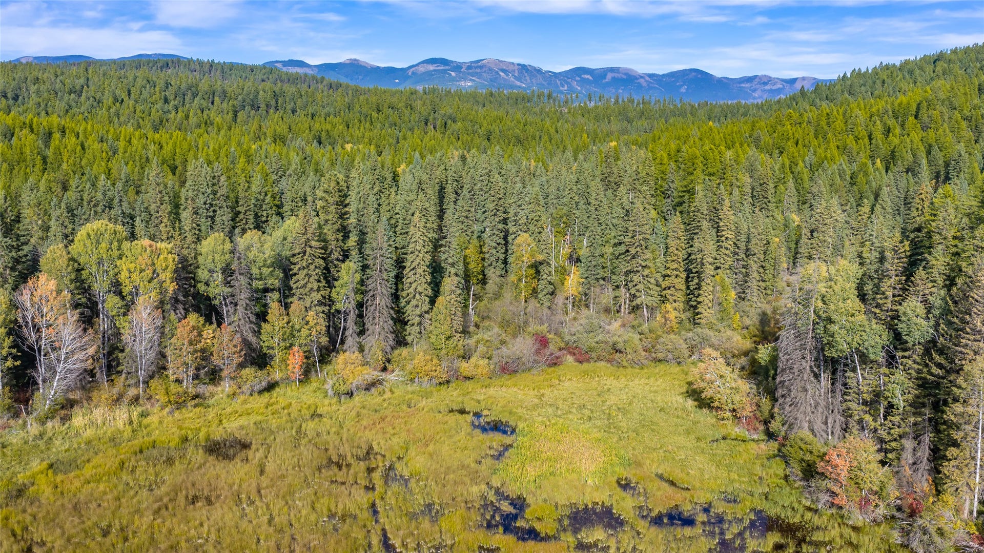675 Beaver Lake Road, Whitefish, MT 59937 675 Beaver Lake Road, Whitefish, MT 59937