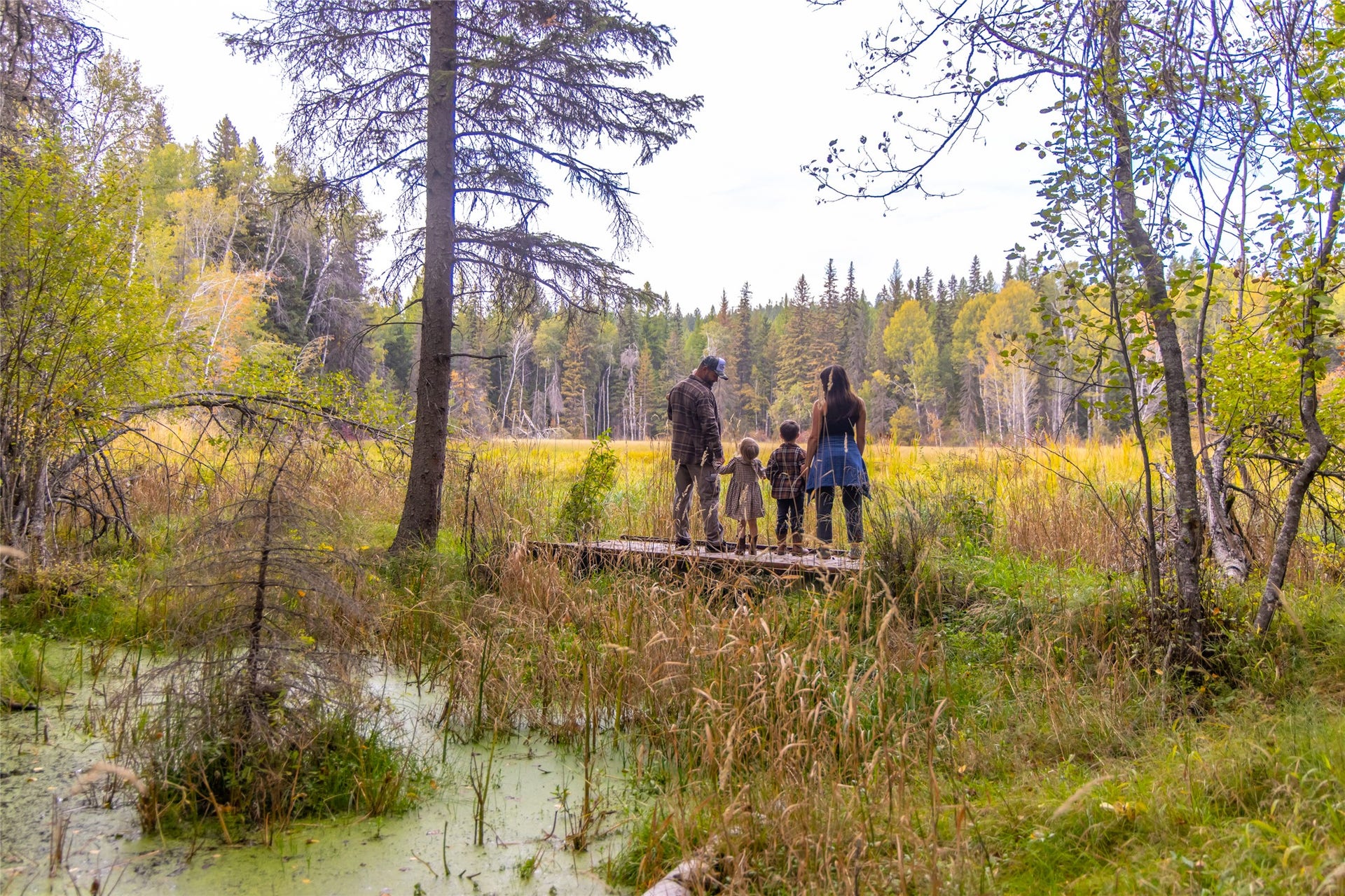 675 Beaver Lake Road, Whitefish, MT 59937 675 Beaver Lake Road, Whitefish, MT 59937