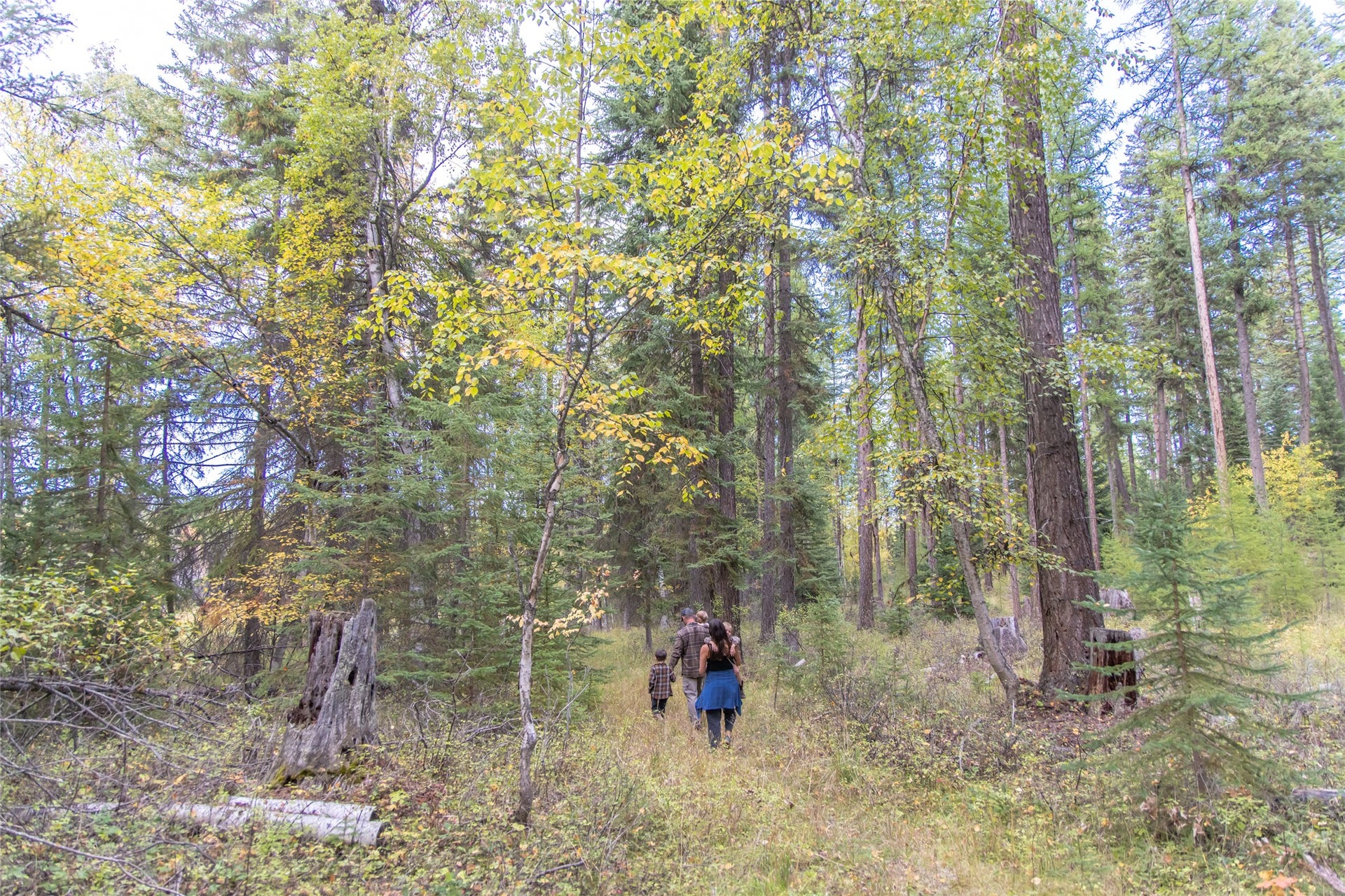 675 Beaver Lake Road, Whitefish, MT 59937 675 Beaver Lake Road, Whitefish, MT 59937