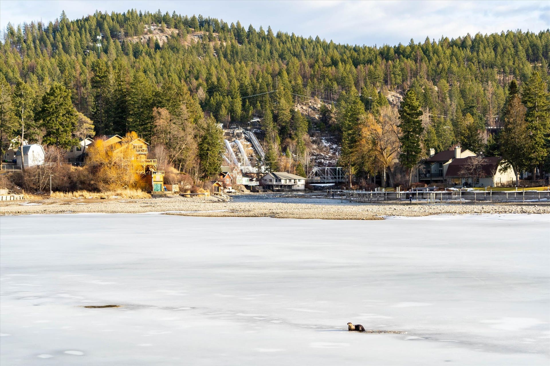 575 B Electric Avenue, Bigfork, MT 59911 Bigfork in winter