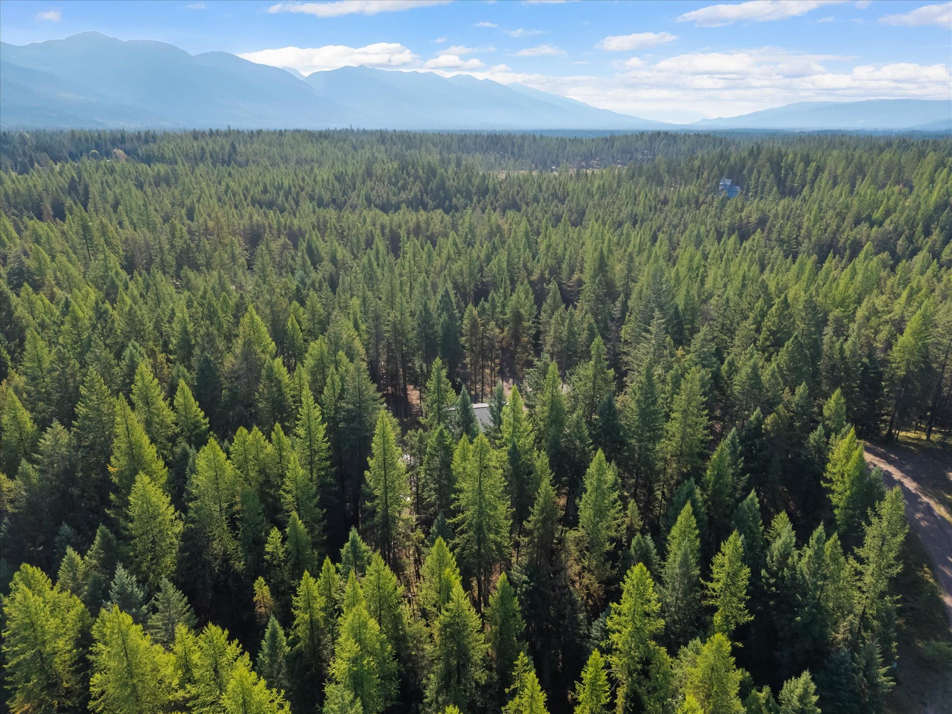 An outdoor enthusiast's paradise: Aerial view highlighting the private 4.79-acre property positioned directly along the Foothills Road corridor. Step out your front door to immediate access for summer hiking, mountain biking, and horseback riding, or explore nearby winter trails perfect for cross-country skiing and snowshoeing throughout the Flathead Valley.