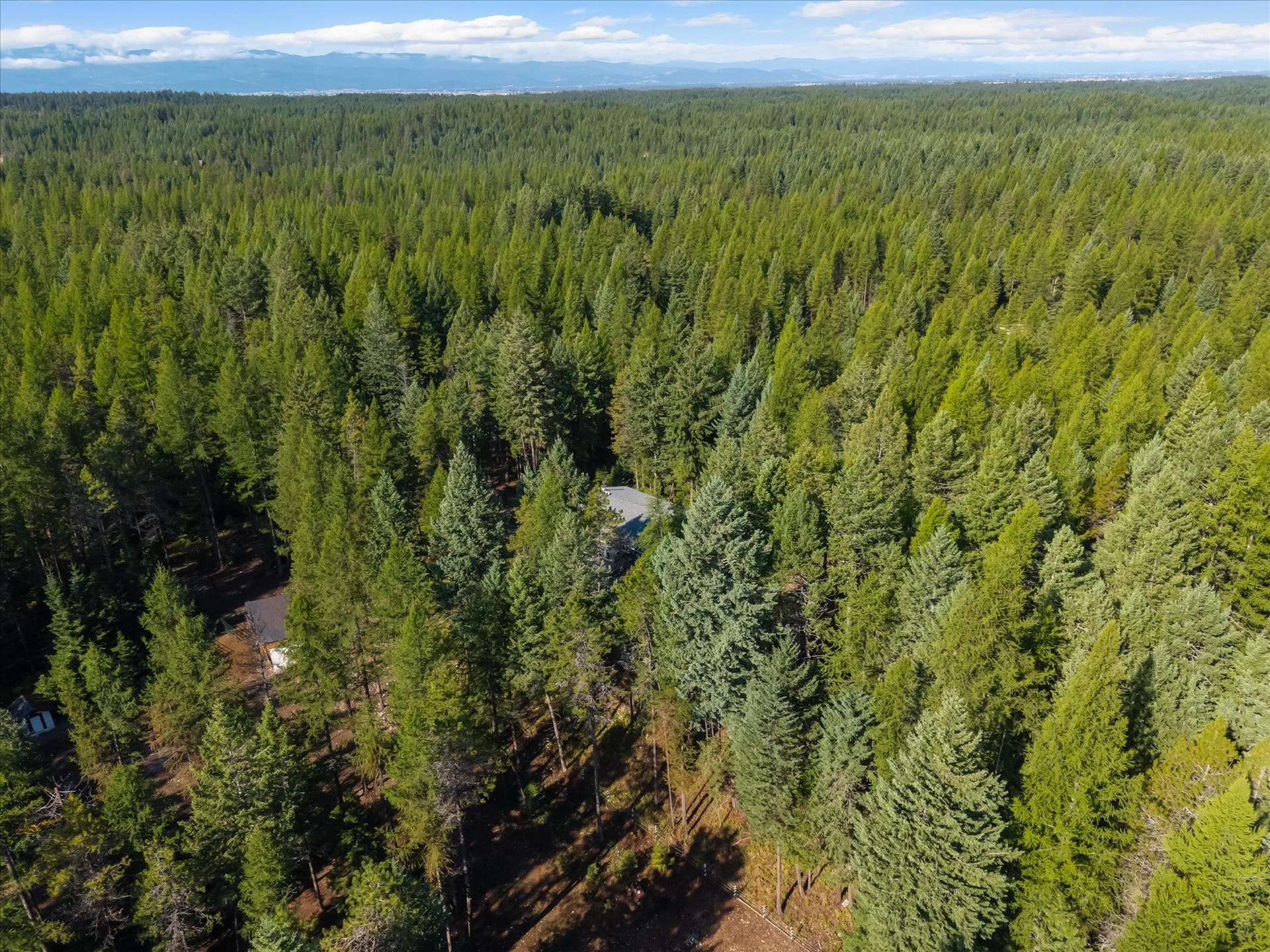 Ready for expansion: A dedicated second homesite equipped with septic and electric utilities already on siteperfect for a guest house, workshop, or multi-generational living.