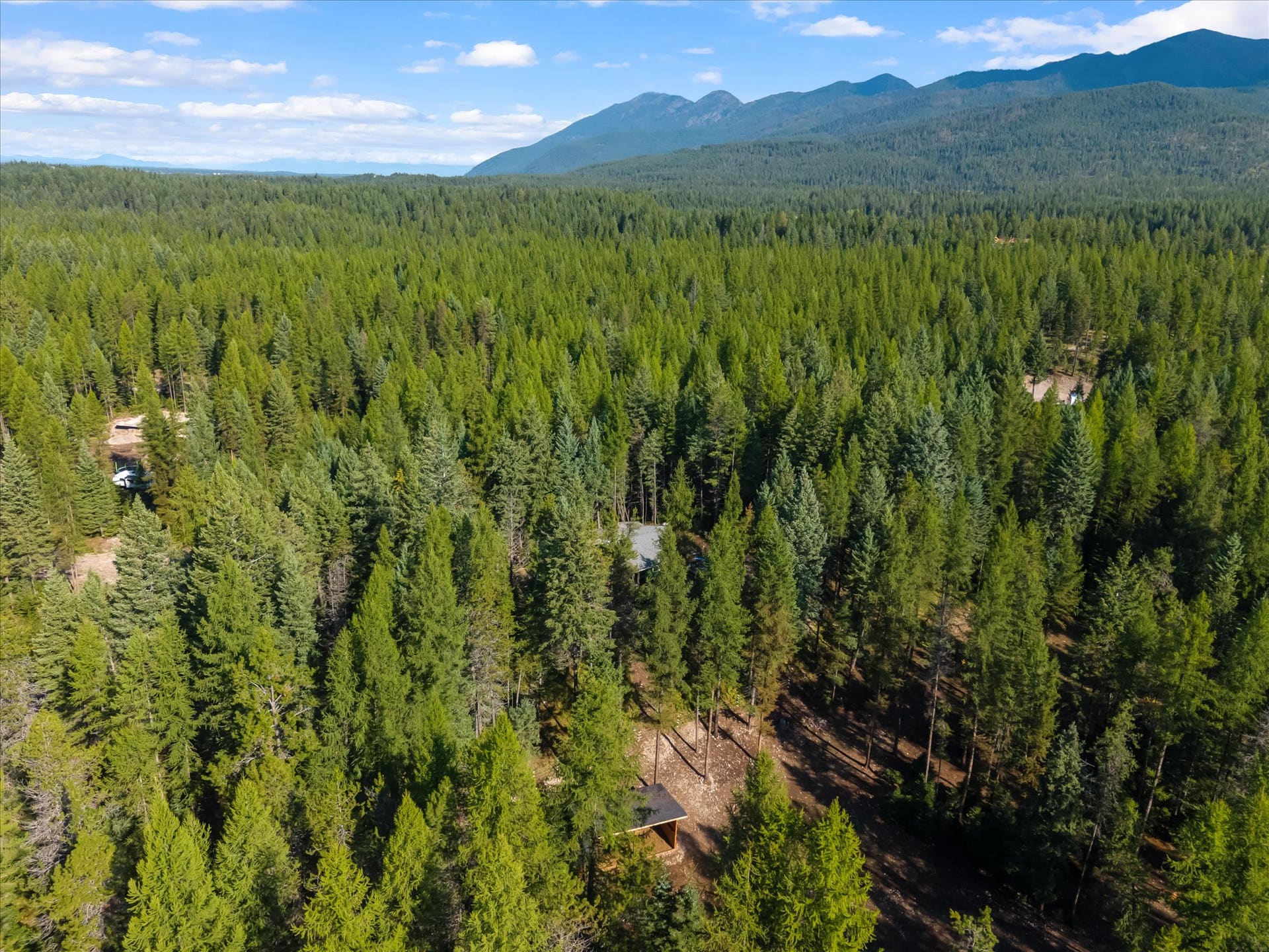 Ready for expansion: A dedicated second homesite equipped with septic and electric utilities already on siteperfect for a guest house, workshop, or multi-generational living.