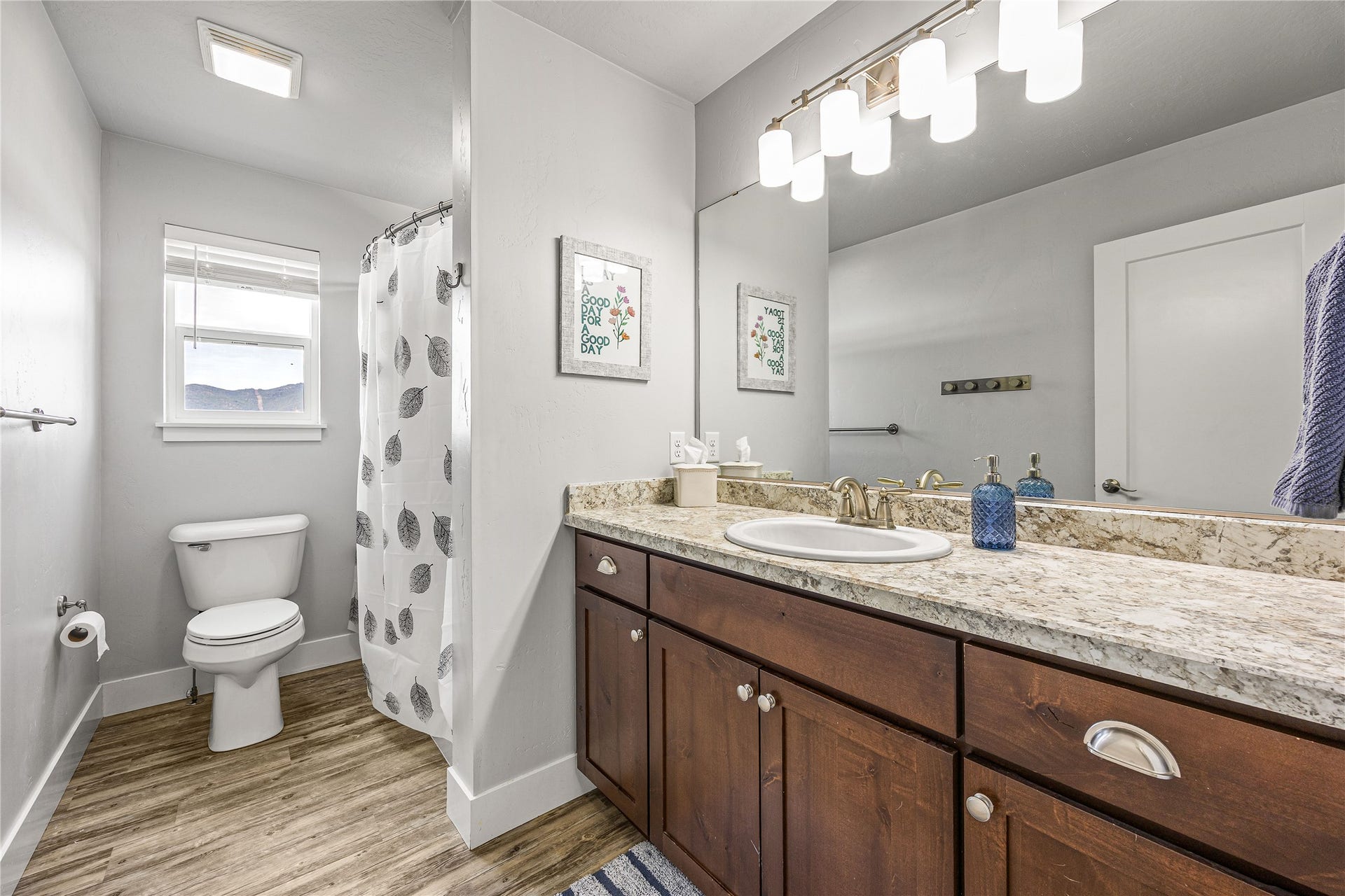 Wood-finish flooring, single vanity with a solid surface countertop, white toilet, and an attached overhead light fixture