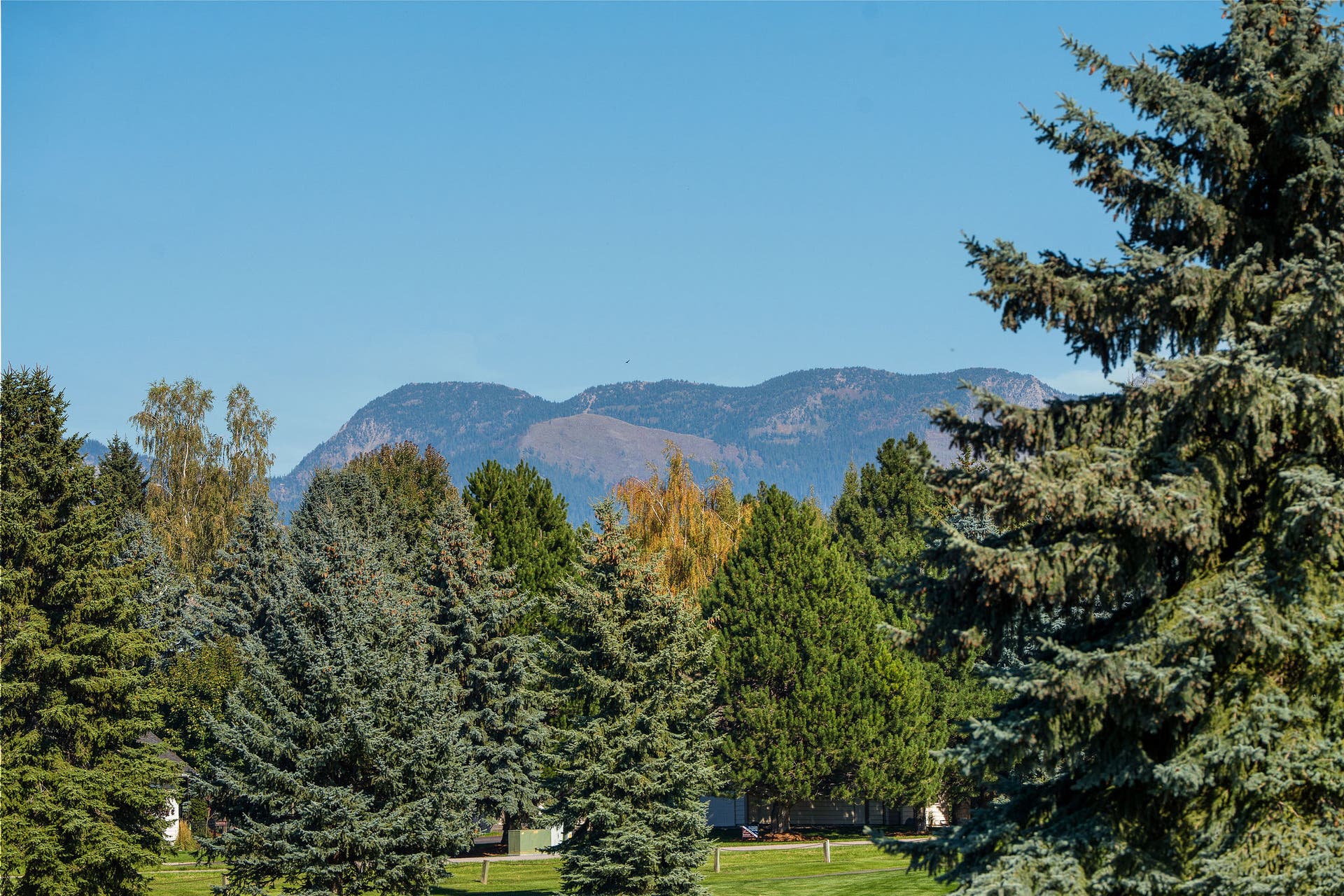 209 Bridger Drive, Bigfork, MT 59911 209 Bridger Drive, Bigfork, MT 59911