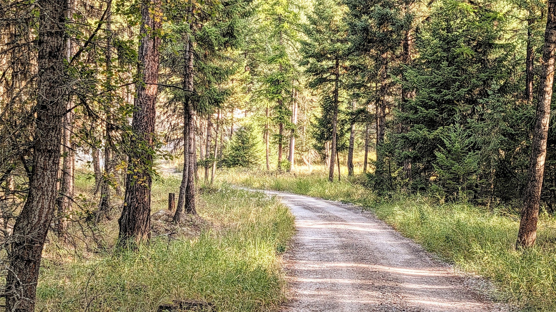 448 Cloud Creek Road, Somers, MT 59932 The Road In