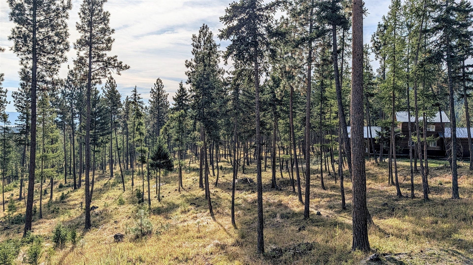 448 Cloud Creek Road, Somers, MT 59932 Parked Out Acreage