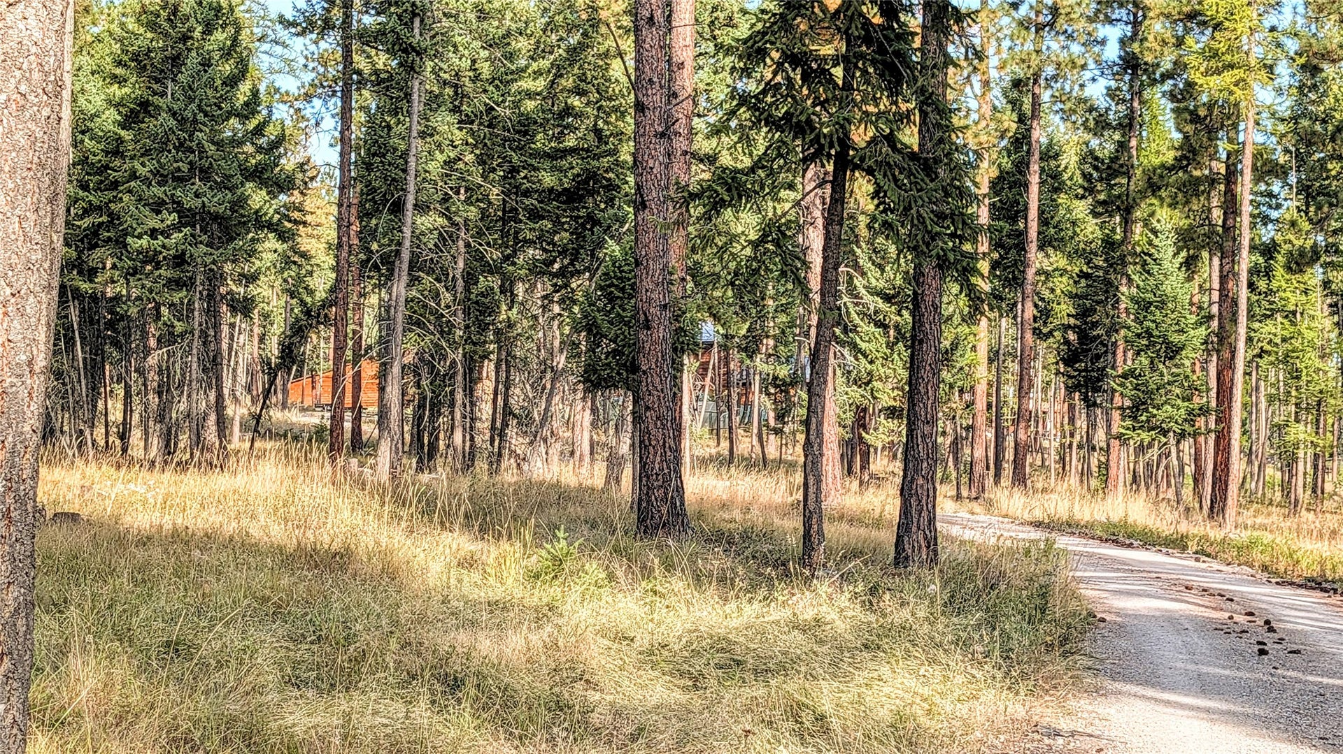 448 Cloud Creek Road, Somers, MT 59932 The Road In - 2