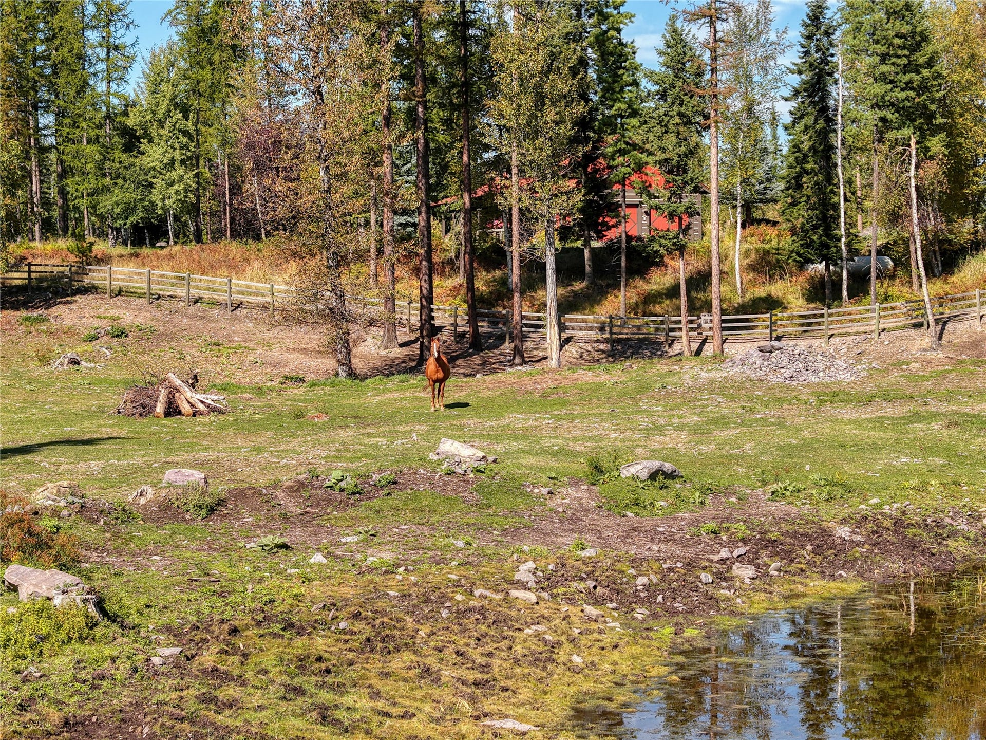 622 Wild Swan Trail, Bigfork, MT 59911 Pasture w/seasonal pond