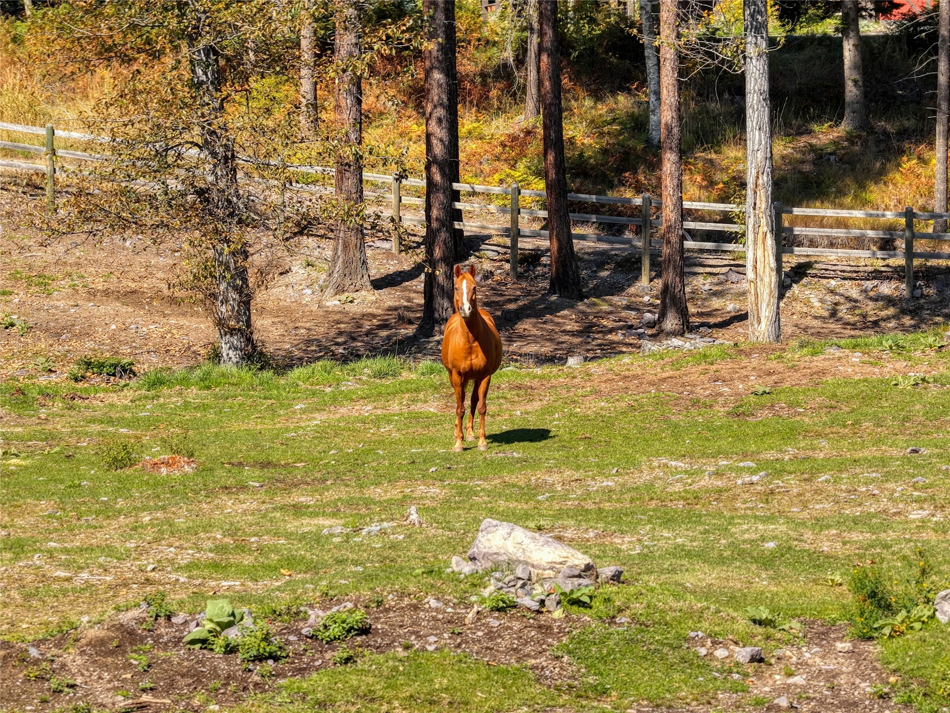 622 Wild Swan Trail, Bigfork, MT 59911 A thoughtfully designed setup for all your farm favorites