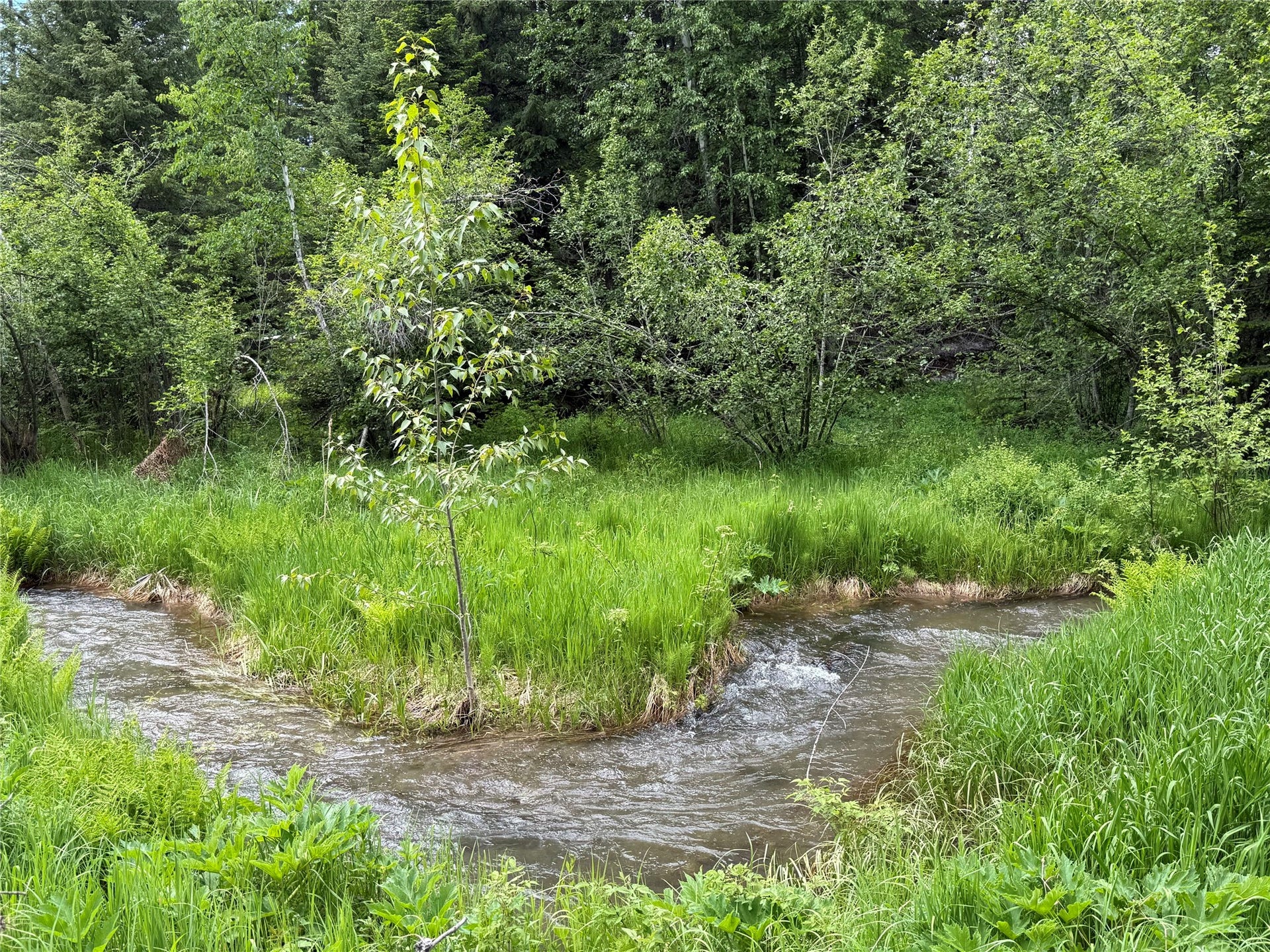 622 Wild Swan Trail, Bigfork, MT 59911 Peterson Creek year round