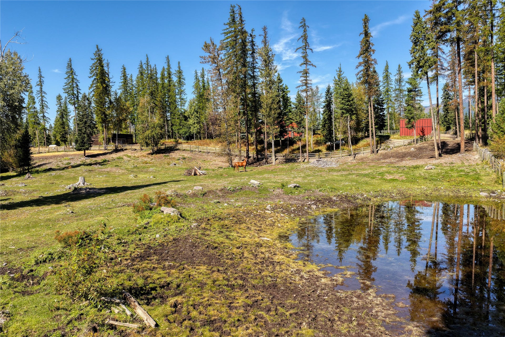 622 Wild Swan Trail, Bigfork, MT 59911 Pasture has slip rail fencing and seasonal pond
